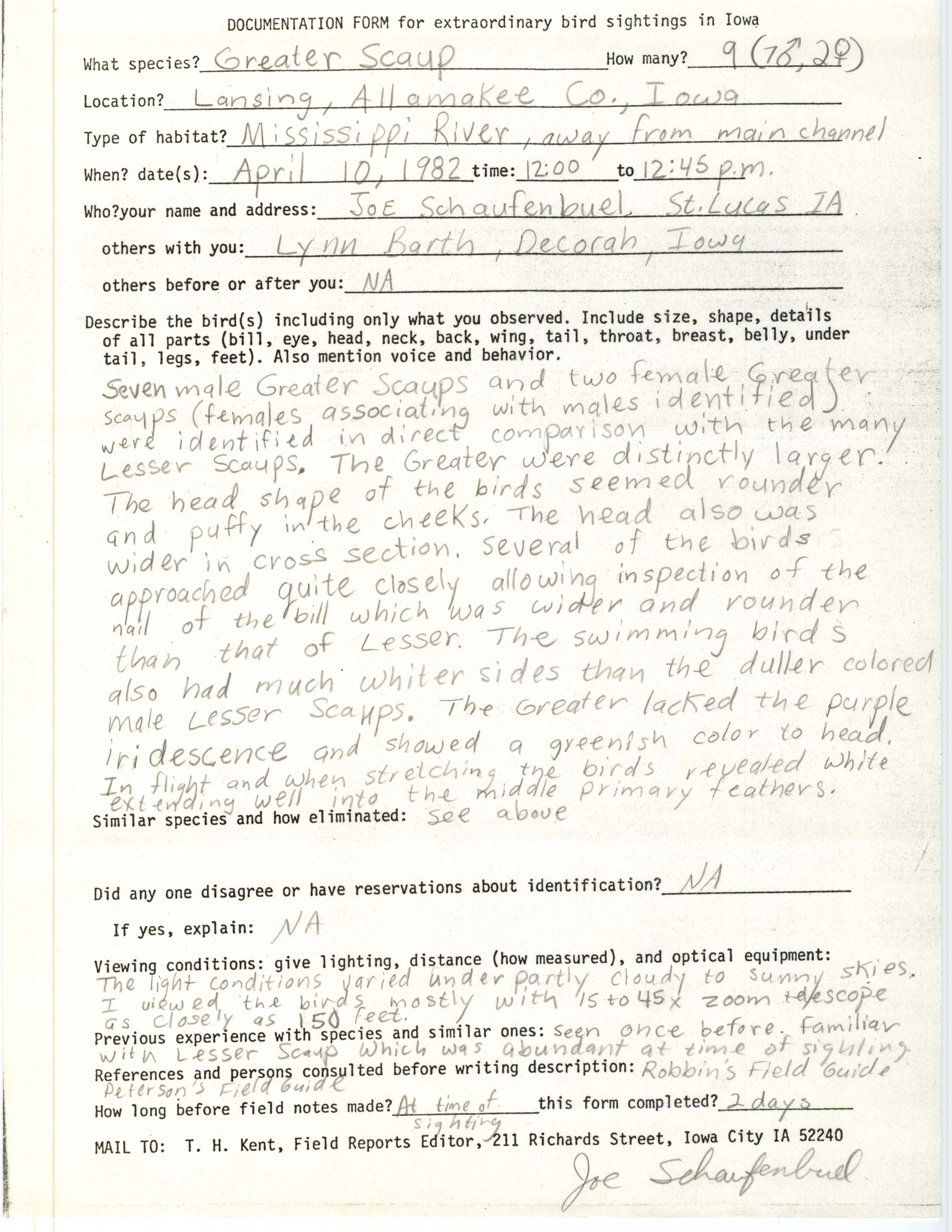 Rare bird documentation form for Greater Scaup at Lansing, 1982
