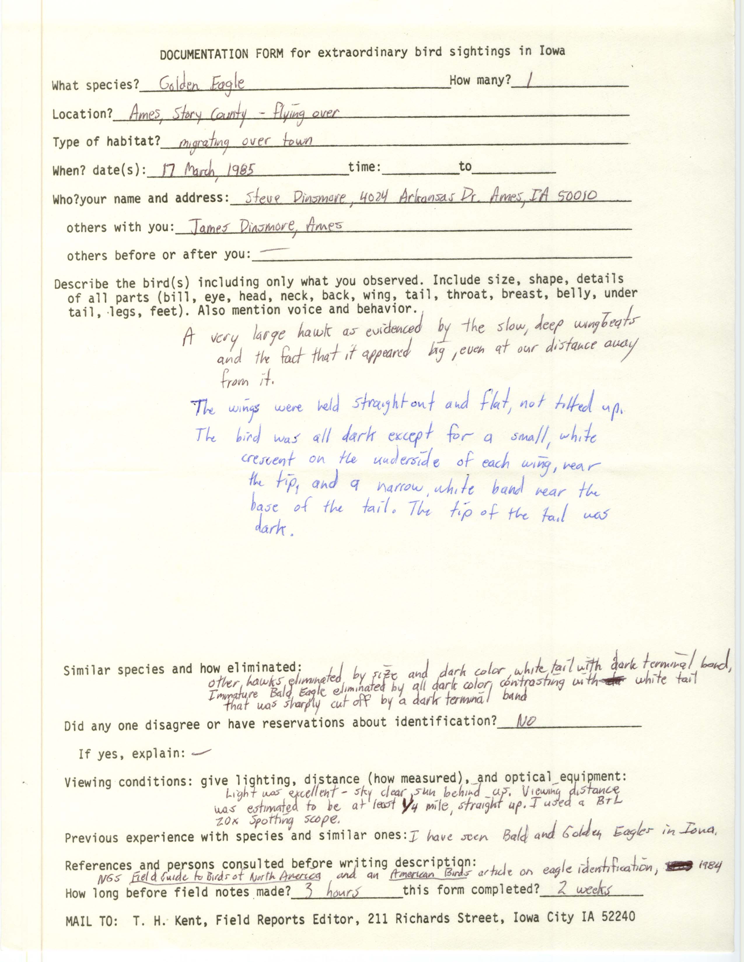 Rare bird documentation form for Golden Eagle at Ames, 1985