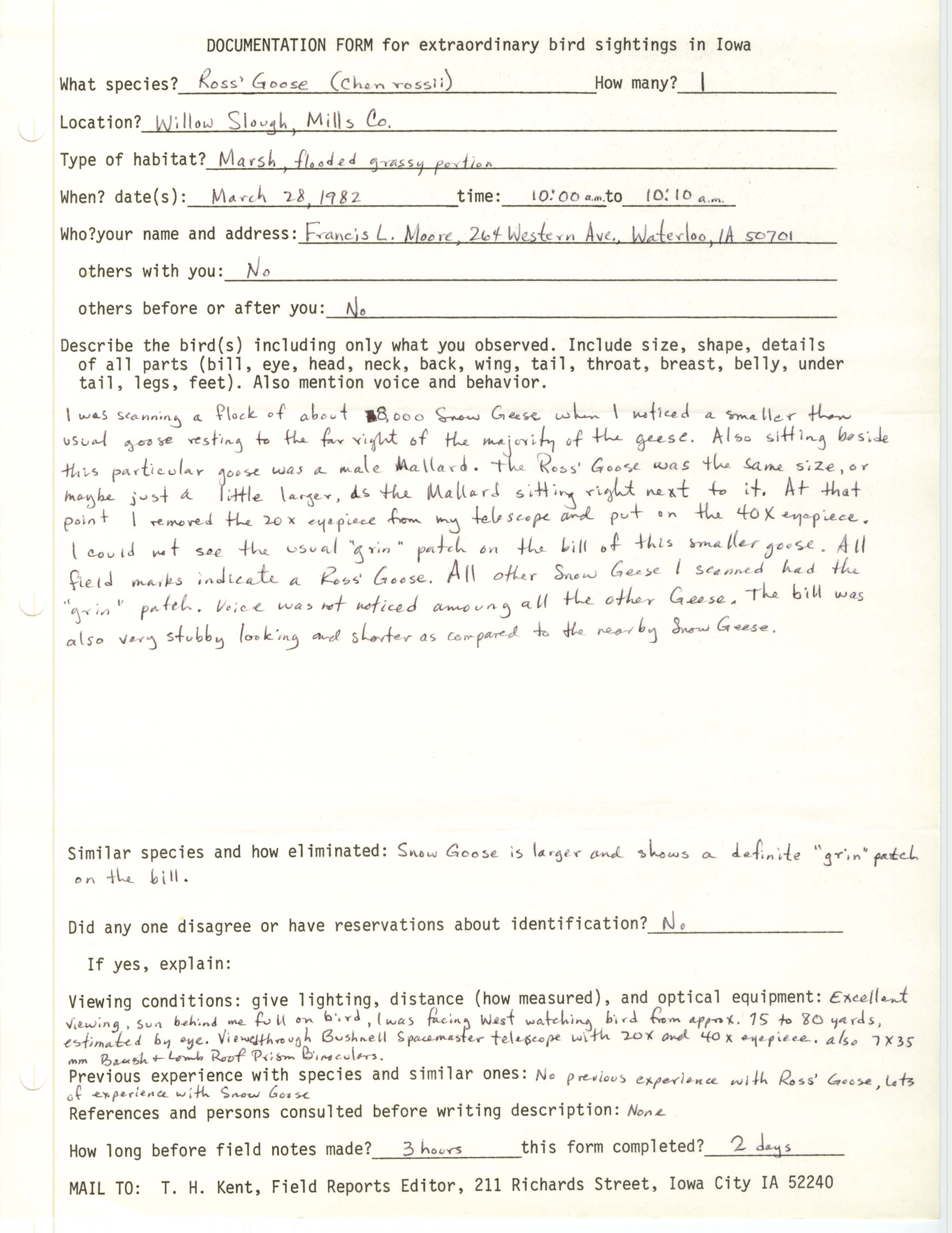 Rare bird documentation form for Ross' Goose at Willow Slough, 1982