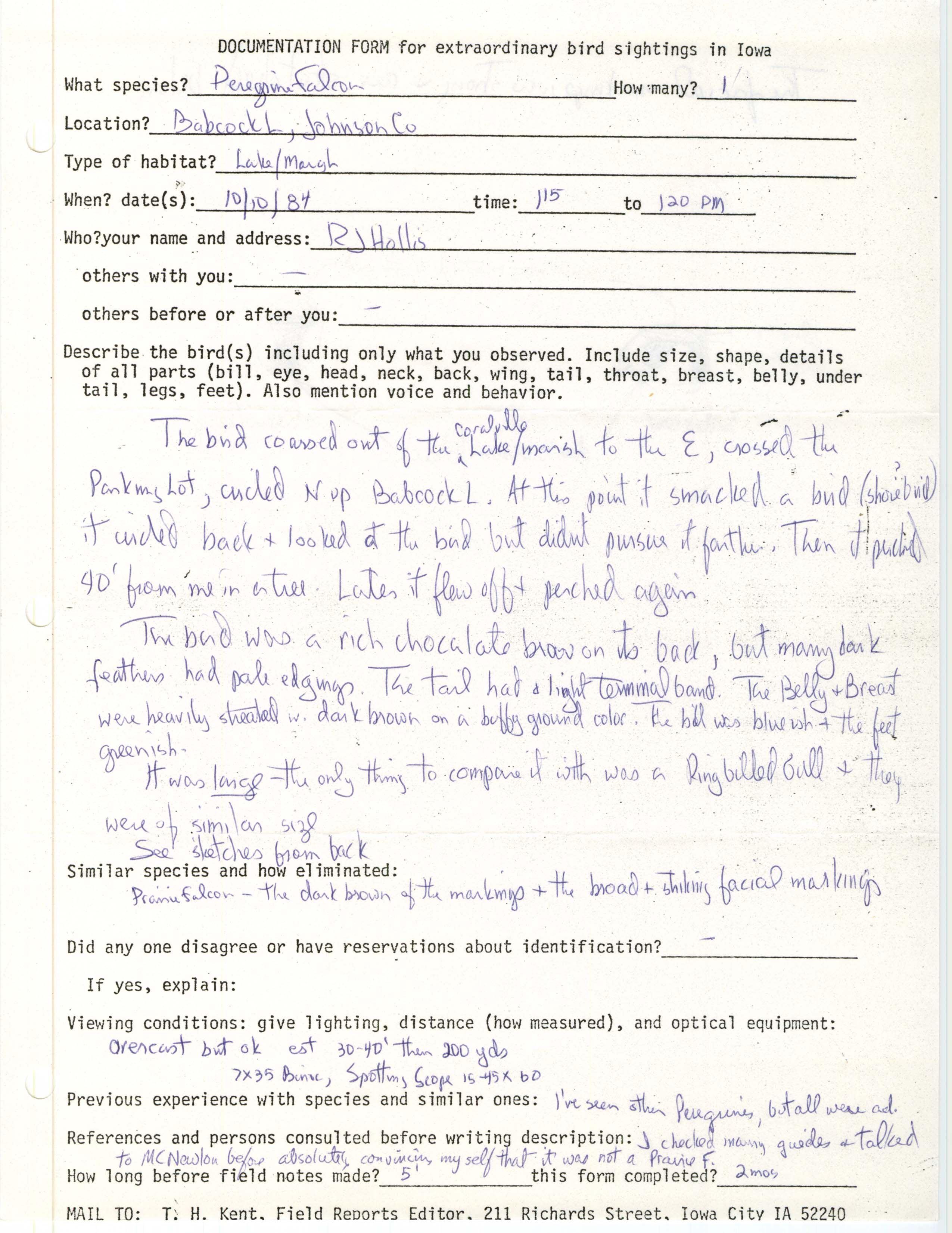 Rare bird documentation form for Peregrine Falcon at Babcock Lake, 1984