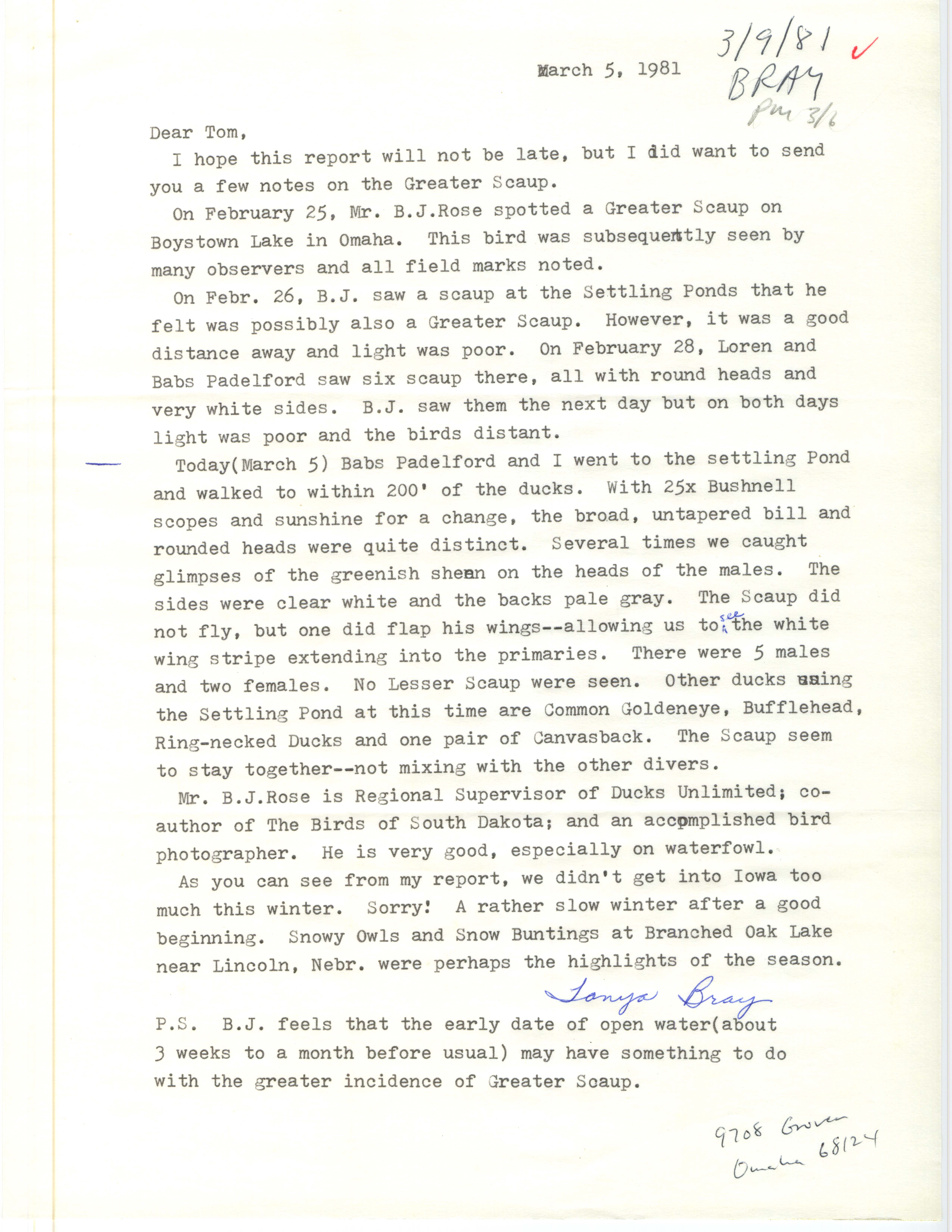 Tanya Bray letter to Thomas Kent regarding the Greater Scaup and other winter sightings, March 5, 1981