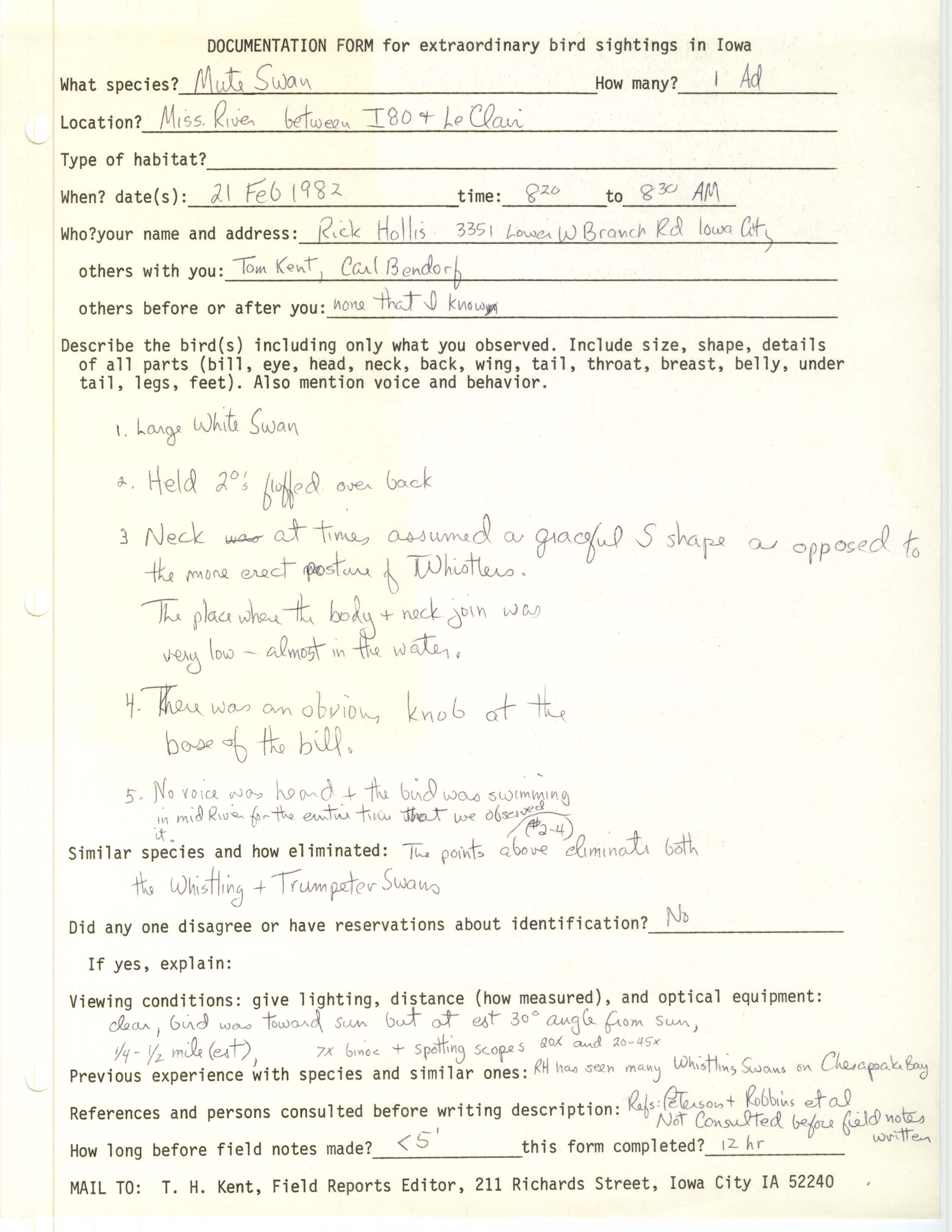 Rare bird documentation form for Mute Swan at the Mississippi River near Le Claire, 1982