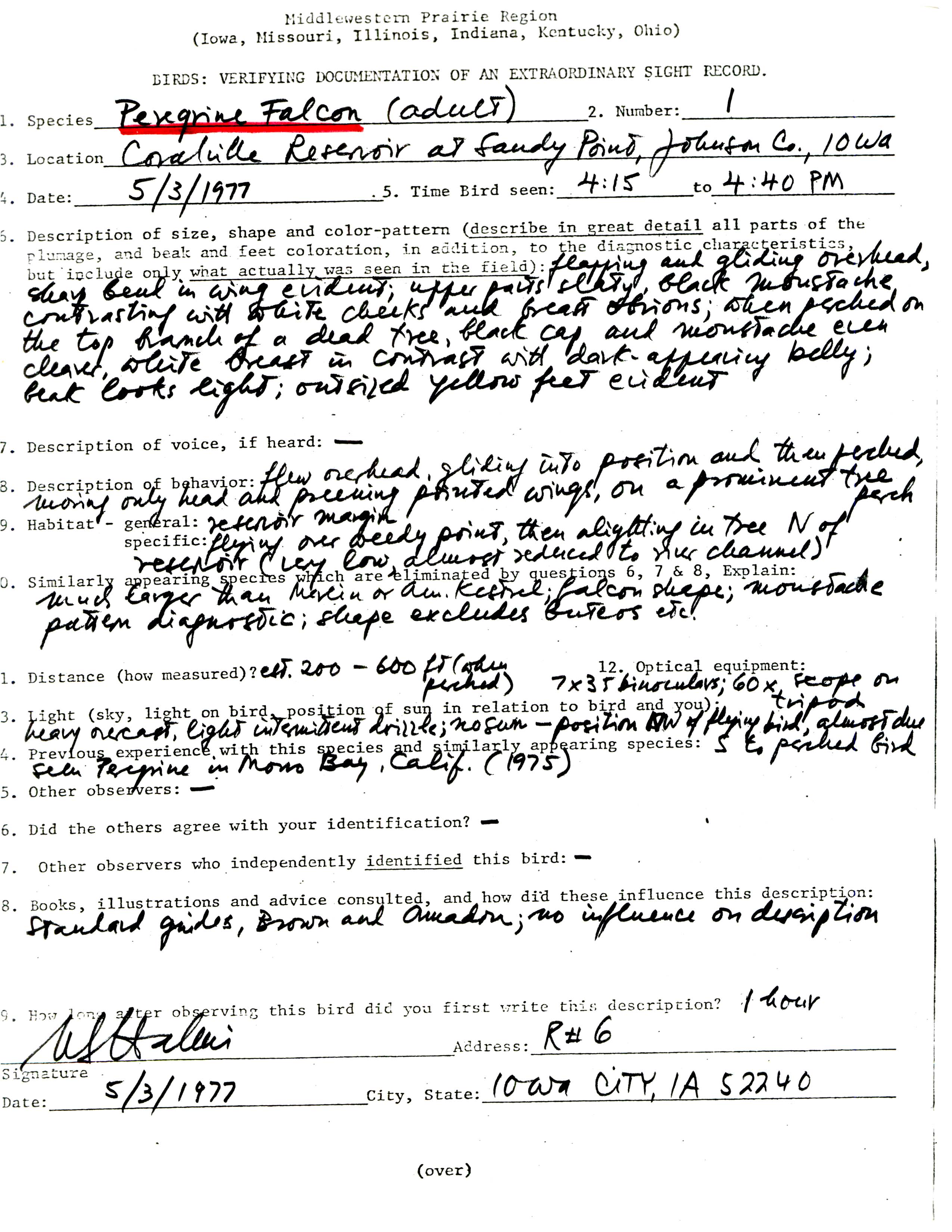 Rare bird documentation form for Peregrine Falcon at Sand Point at Coralville Reservoir, 1977