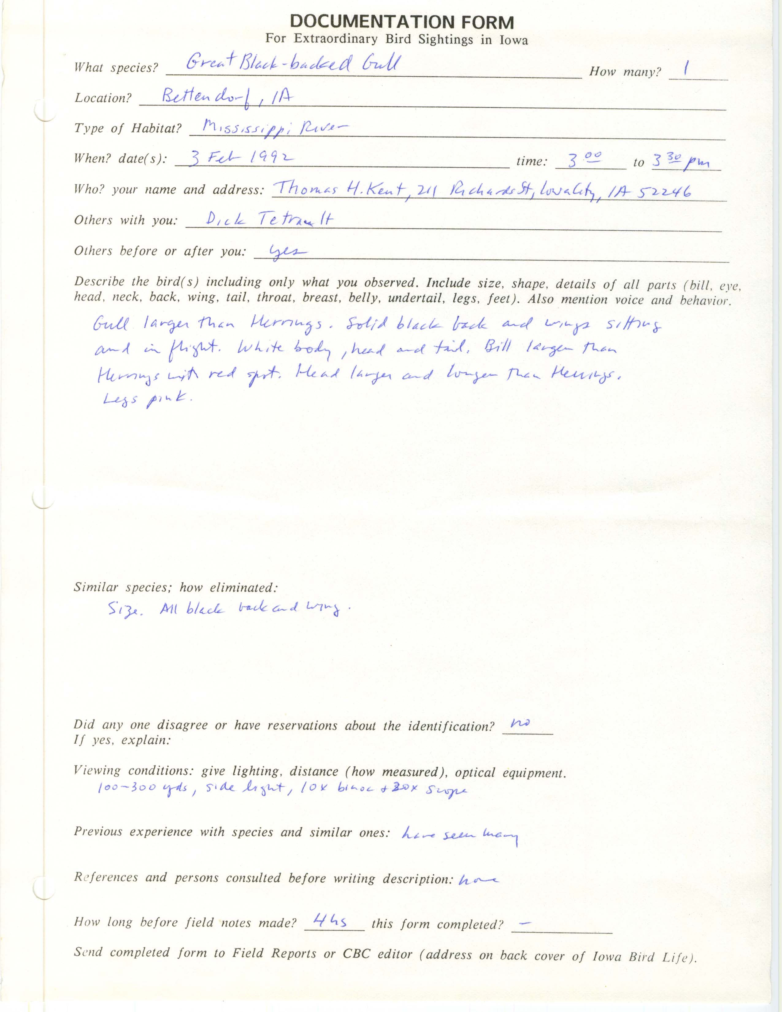Rare bird documentation form for Great Black-backed Gull at Bettendorf, 1992
