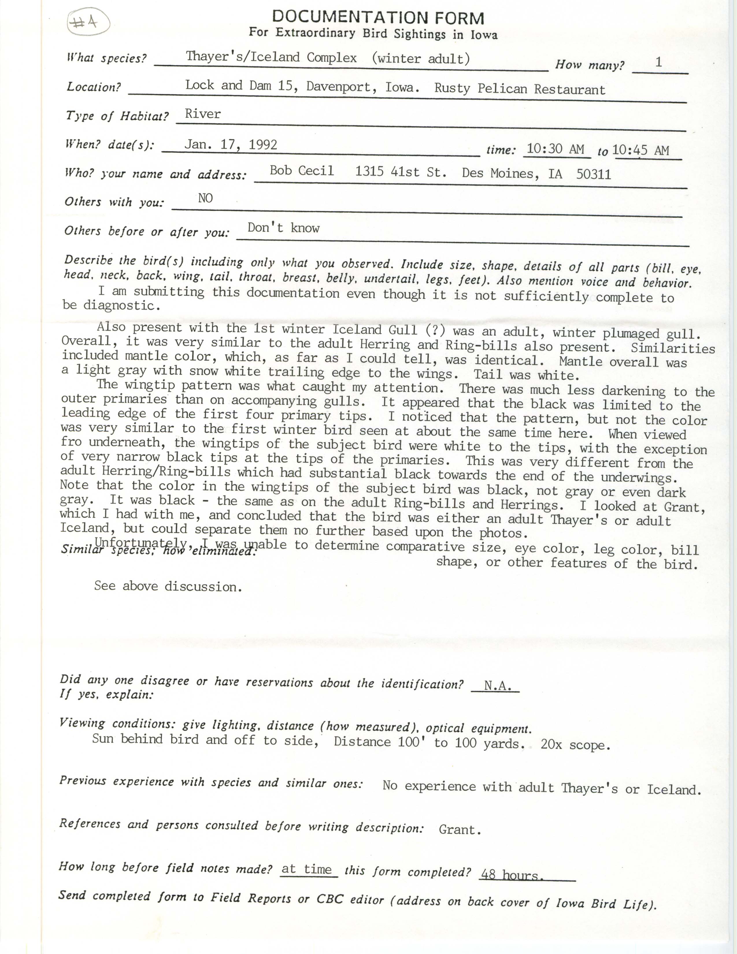 Rare bird documentation form for Thayer's Gull at Lock and Dam 15 in Davenport, 1992