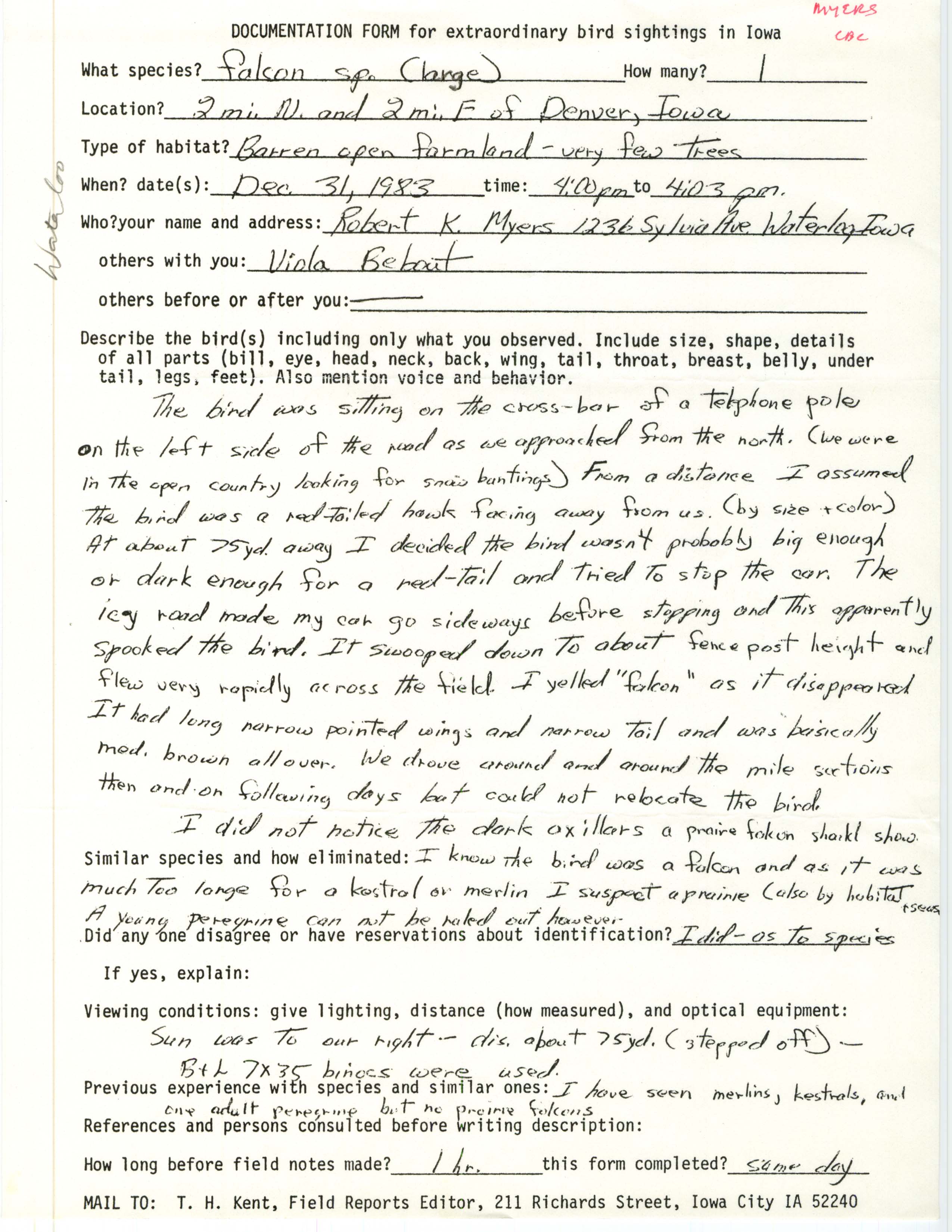 Rare bird documentation form for Peregrine Falcon near Denver, 1983