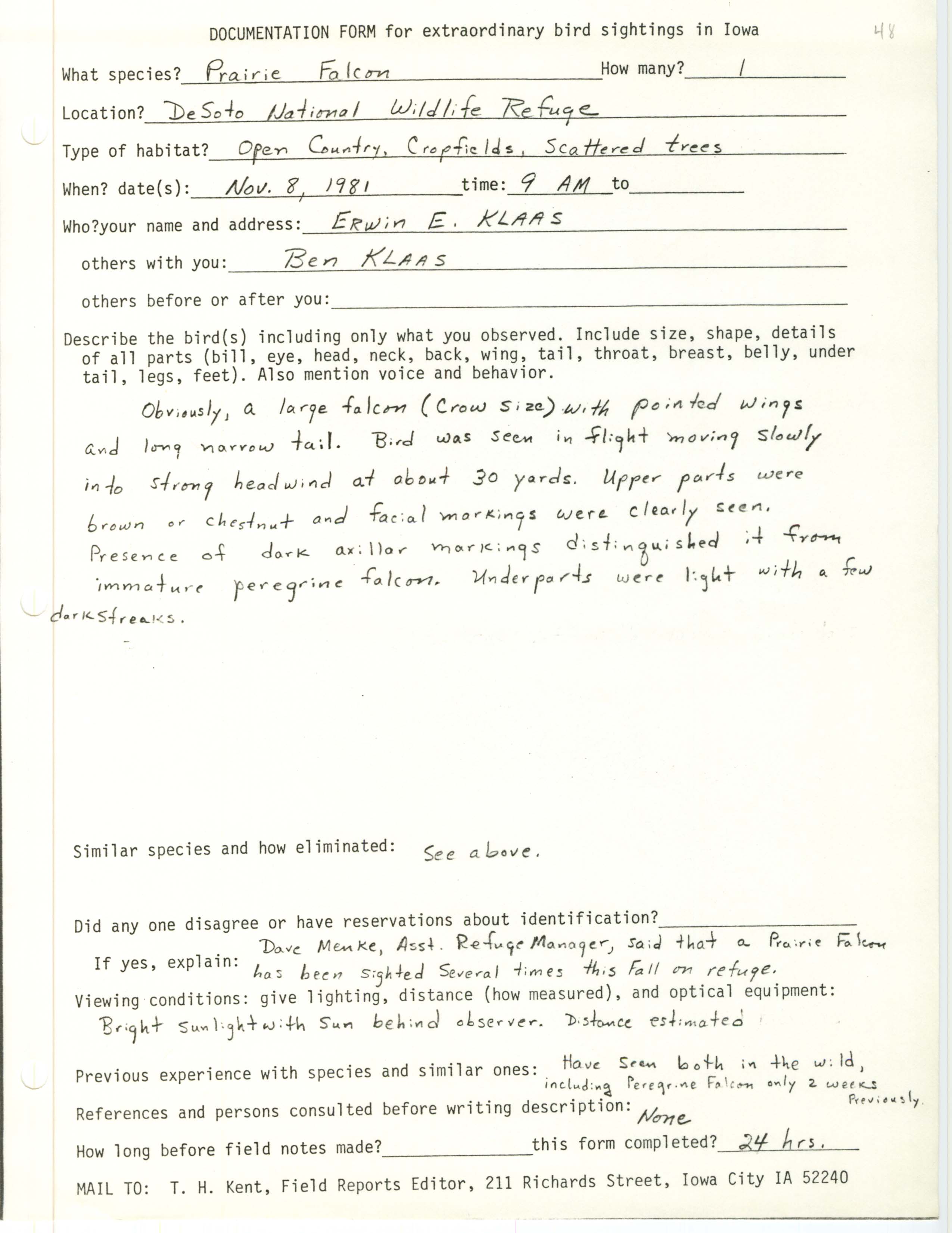 Rare bird documentation form for Prairie Falcon at DeSoto National Wildlife Refuge, 1981