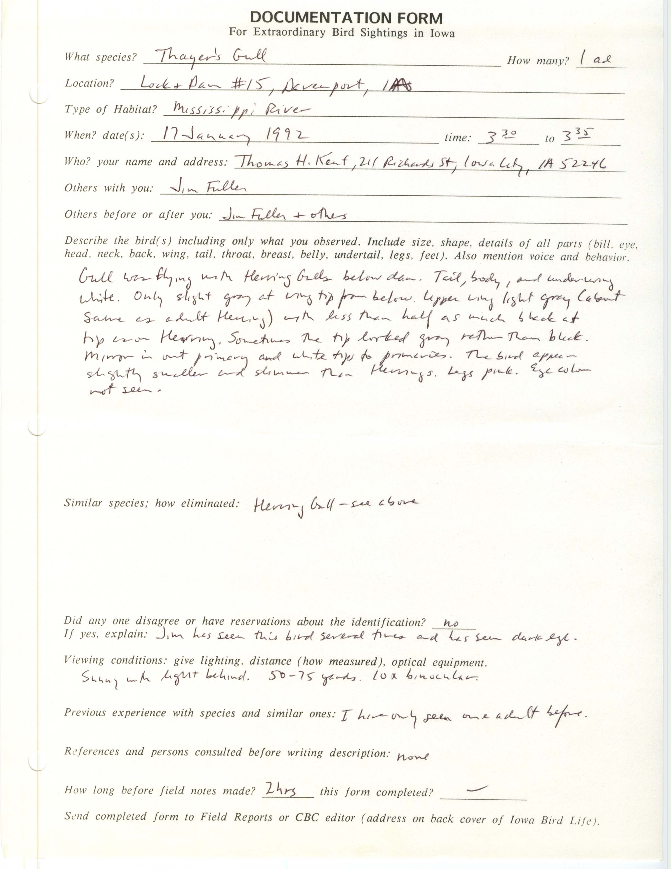 Rare bird documentation form for Thayer's Gull at Lock + Dam 15, 1992
