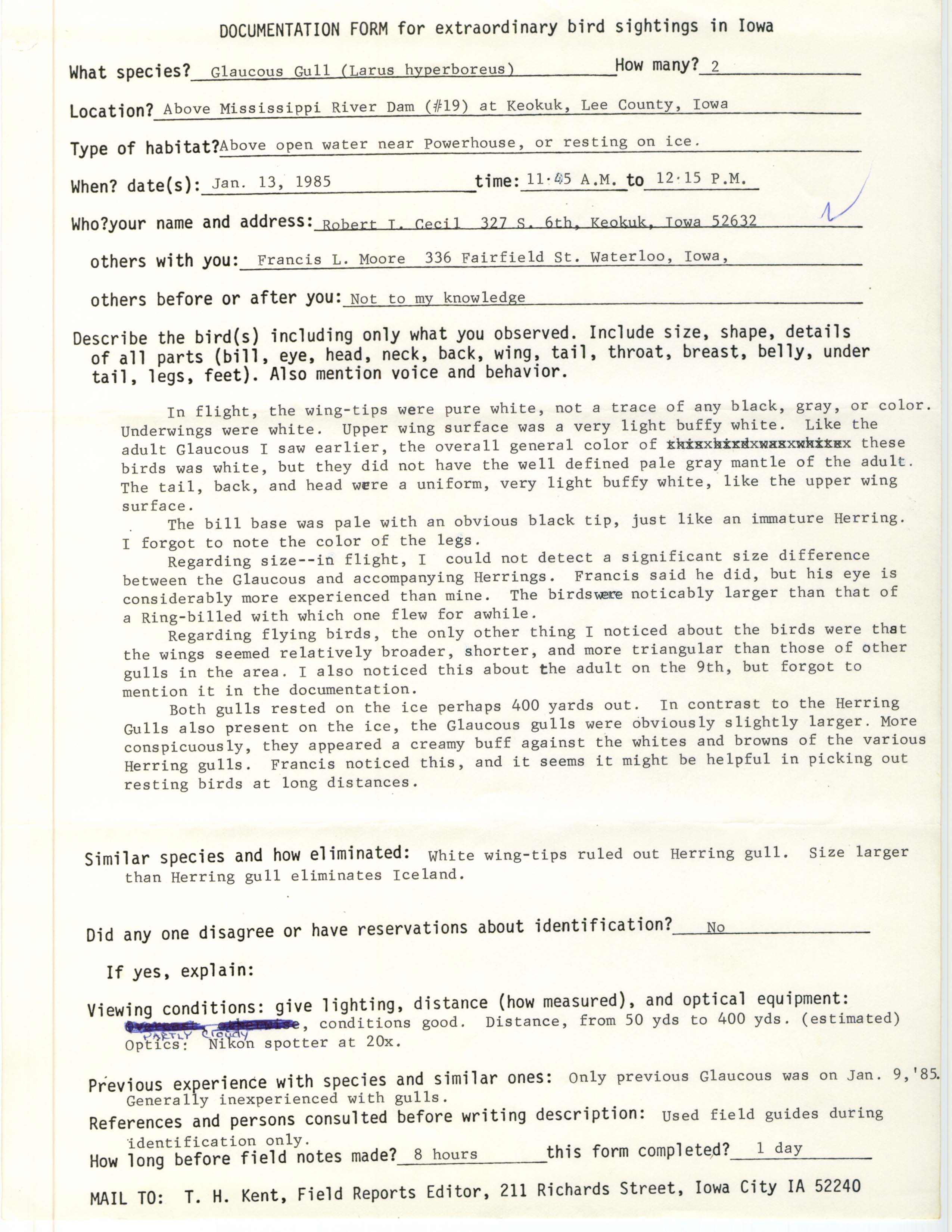 Rare bird documentation form for Glaucous Gull at Lock and Dam 19 near Keokuk, 1985