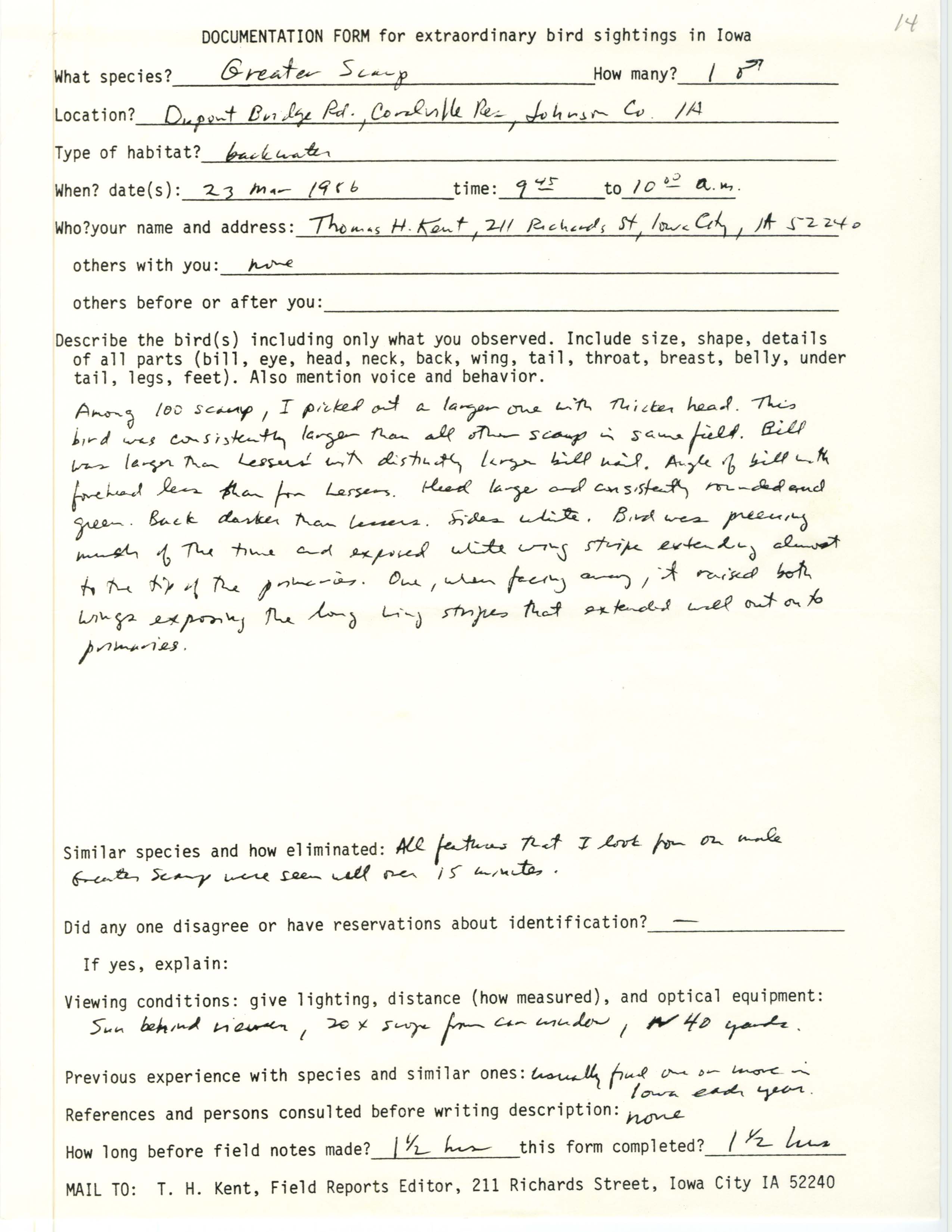 Rare bird documentation form for Greater Scaup at Coralville Reservoir, 1986