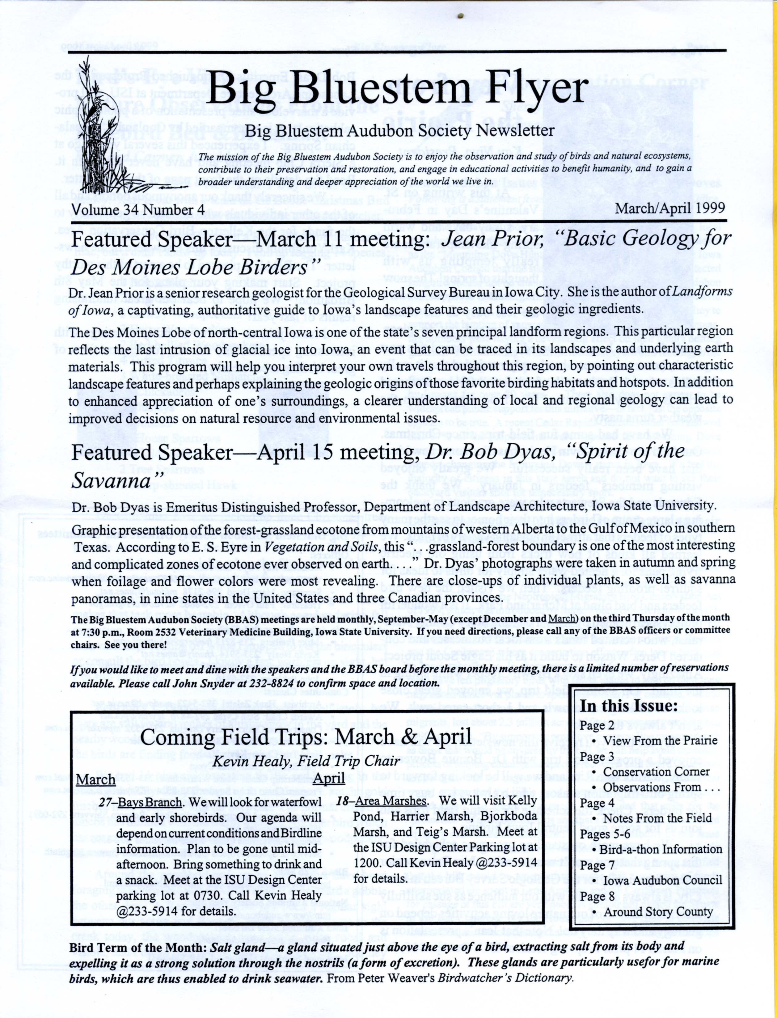 Big Bluestem Flyer, Volume 34, Number 4, March/April 1999