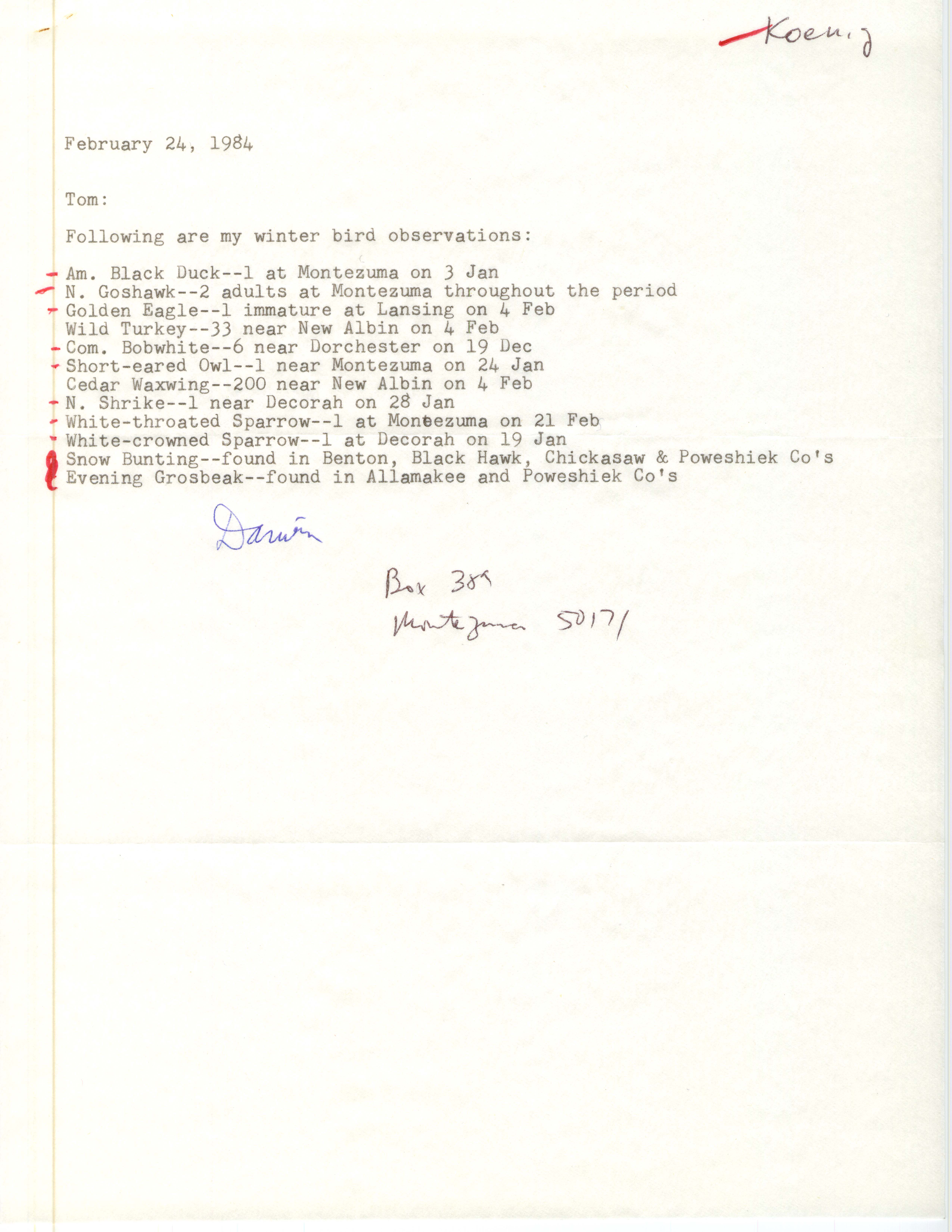 Darwin Koenig letter to Thomas H. Kent regarding winter birds sighted, February 24, 1984