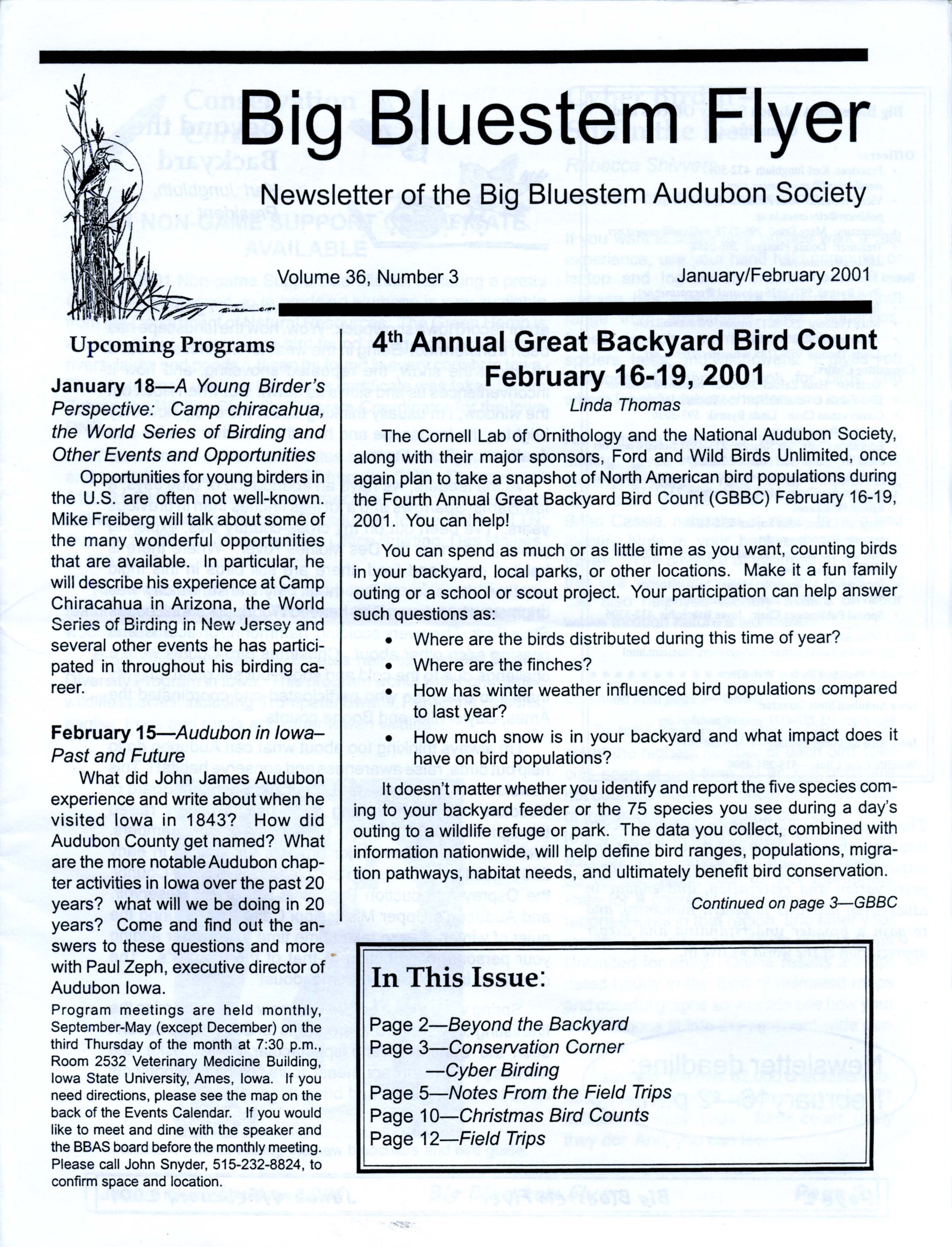 Big Bluestem Flyer, Volume 36, Number 3, January/February 2001