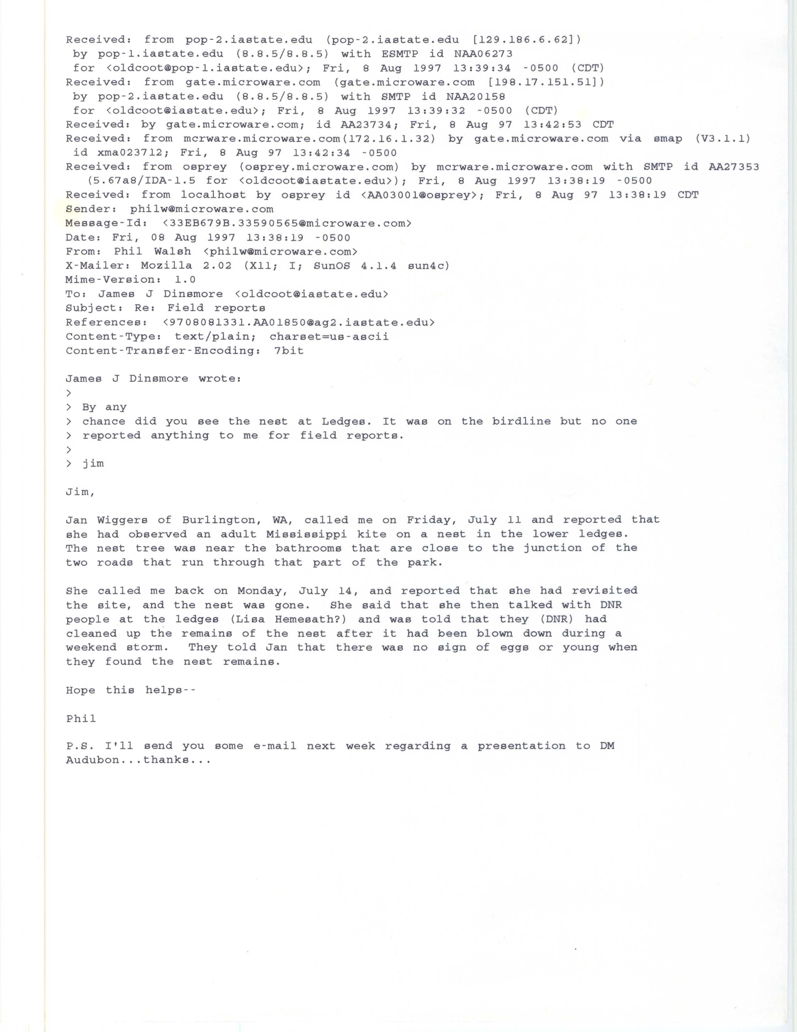 Philip J. Walsh email to James J. Dinsmore regarding a Mississippi Kite sighting and nest, August 8, 1997