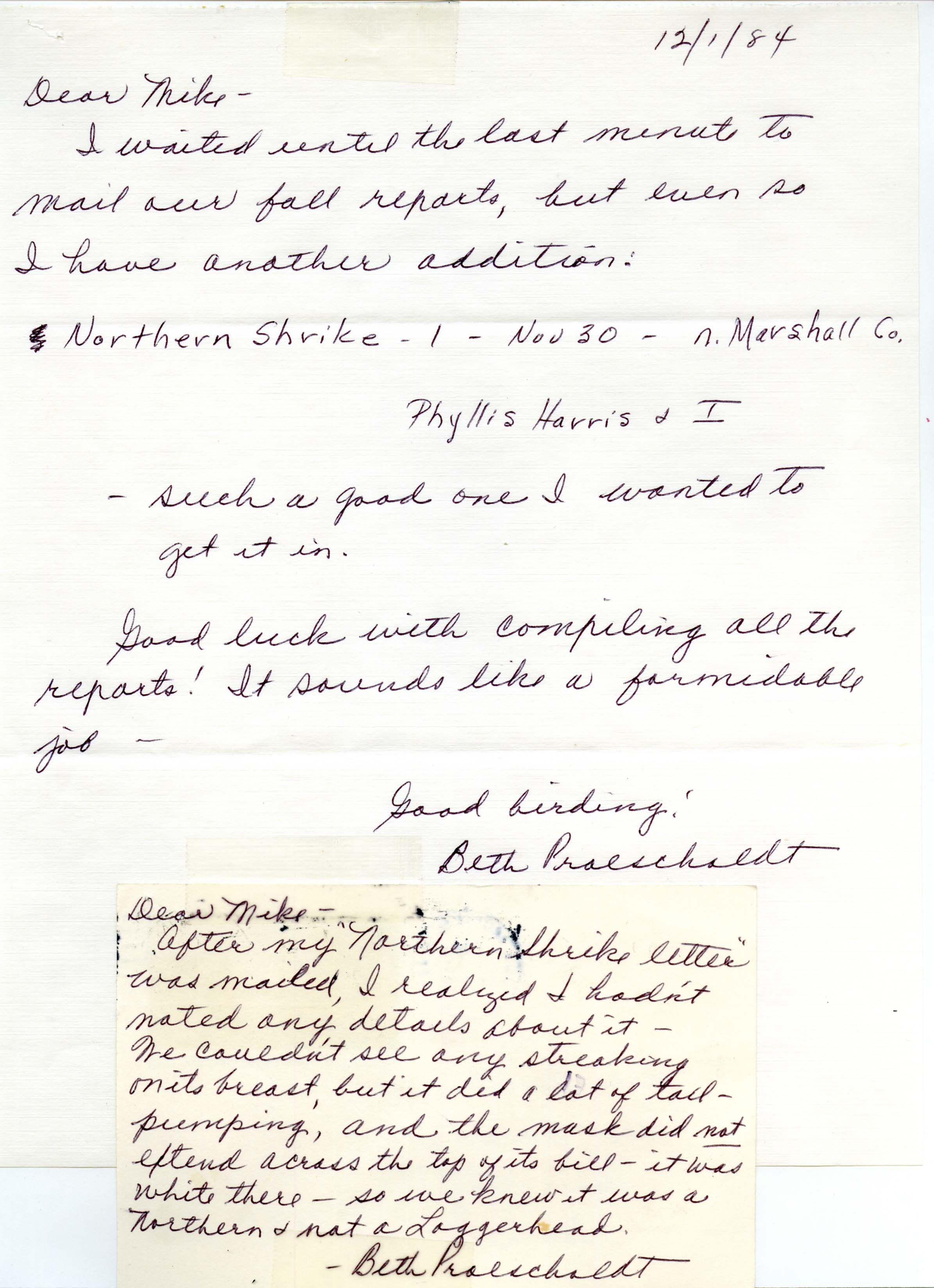 Beth Proescholdt letter to Michael C. Newlon regarding a Northern Shrike sighting, December 1, 1984