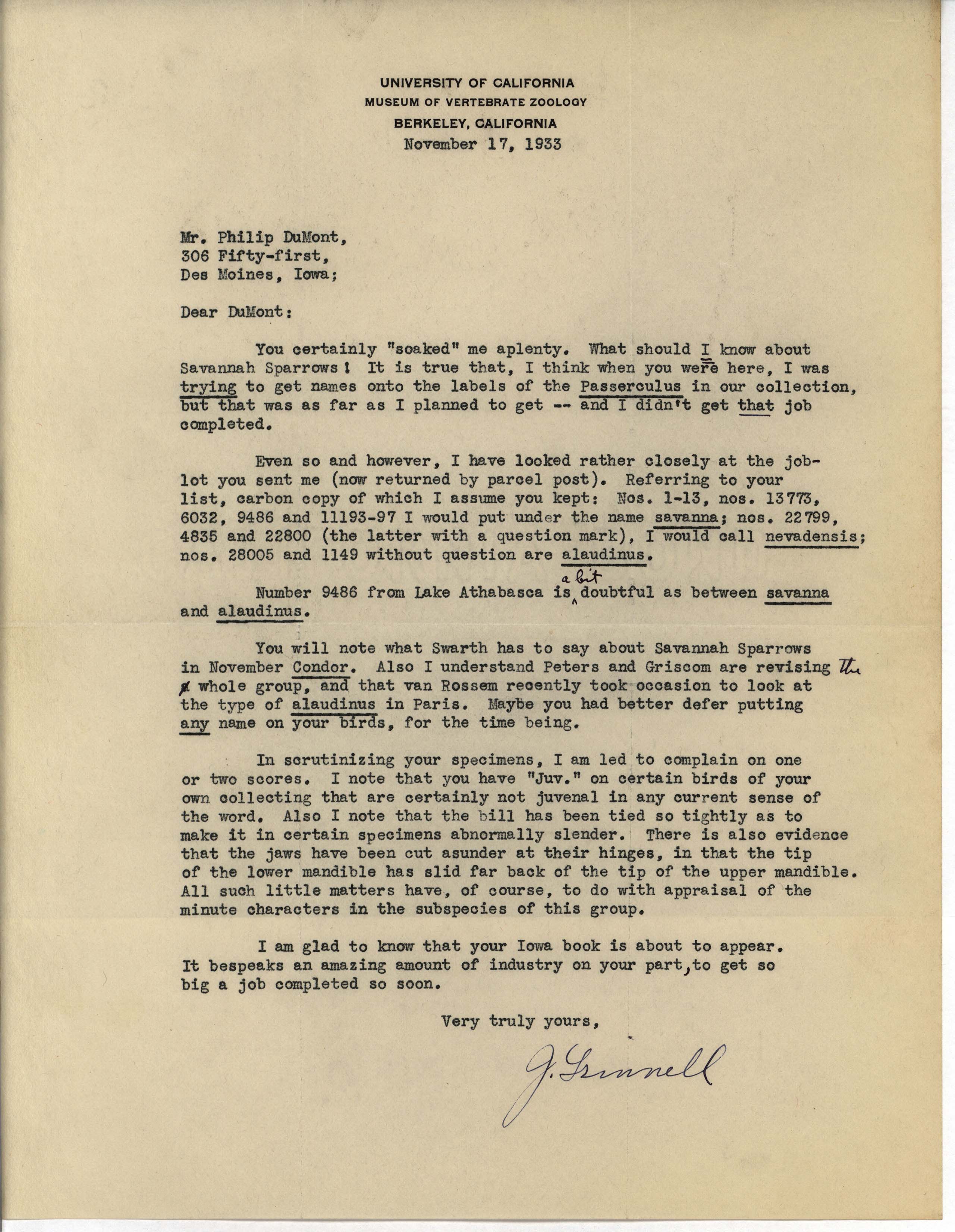 Joseph Grinnell letter to Philip DuMont regarding Savannah Sparrow identification, November 17, 1933