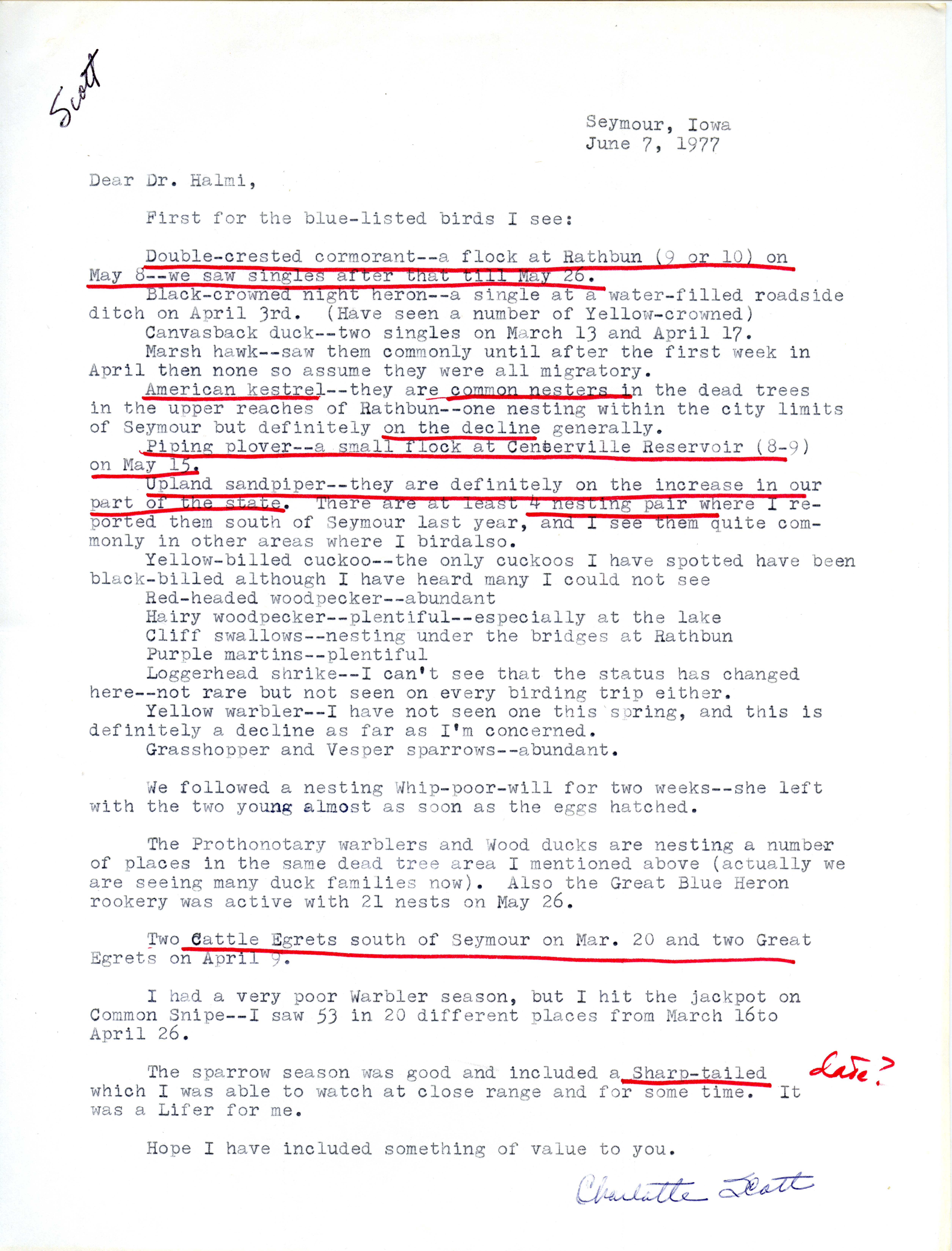 Charlotte Scott letter to Nicholas S. Scott regarding blue-listed birds, June 7, 1977