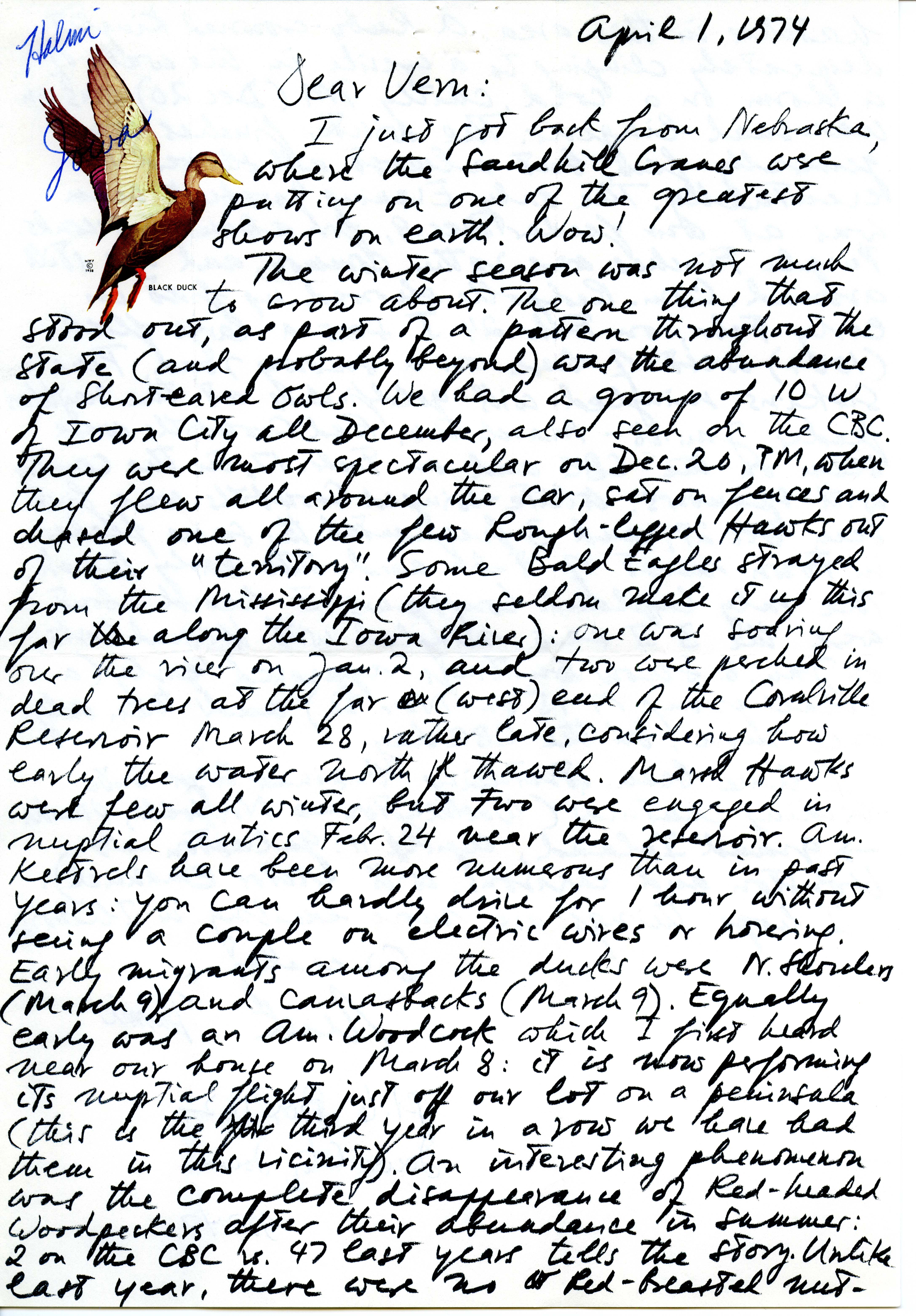 Nicholas S. Halmi letter to Vernon M. Kleen regarding birds sighted around Iowa City during the winter season, April 1, 1974