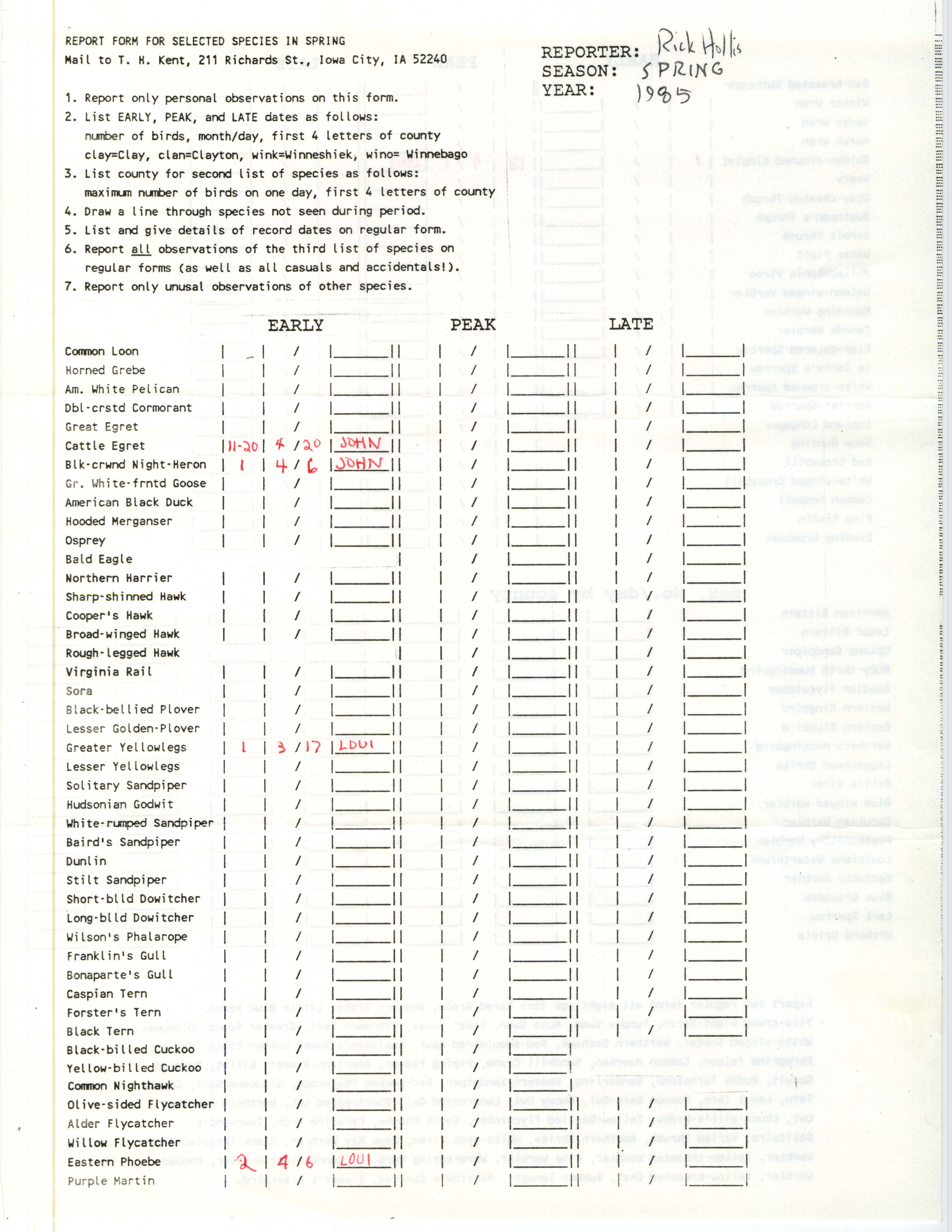 Report form for selected species in spring, contributed by Richard Jule Hollis, spring 1985