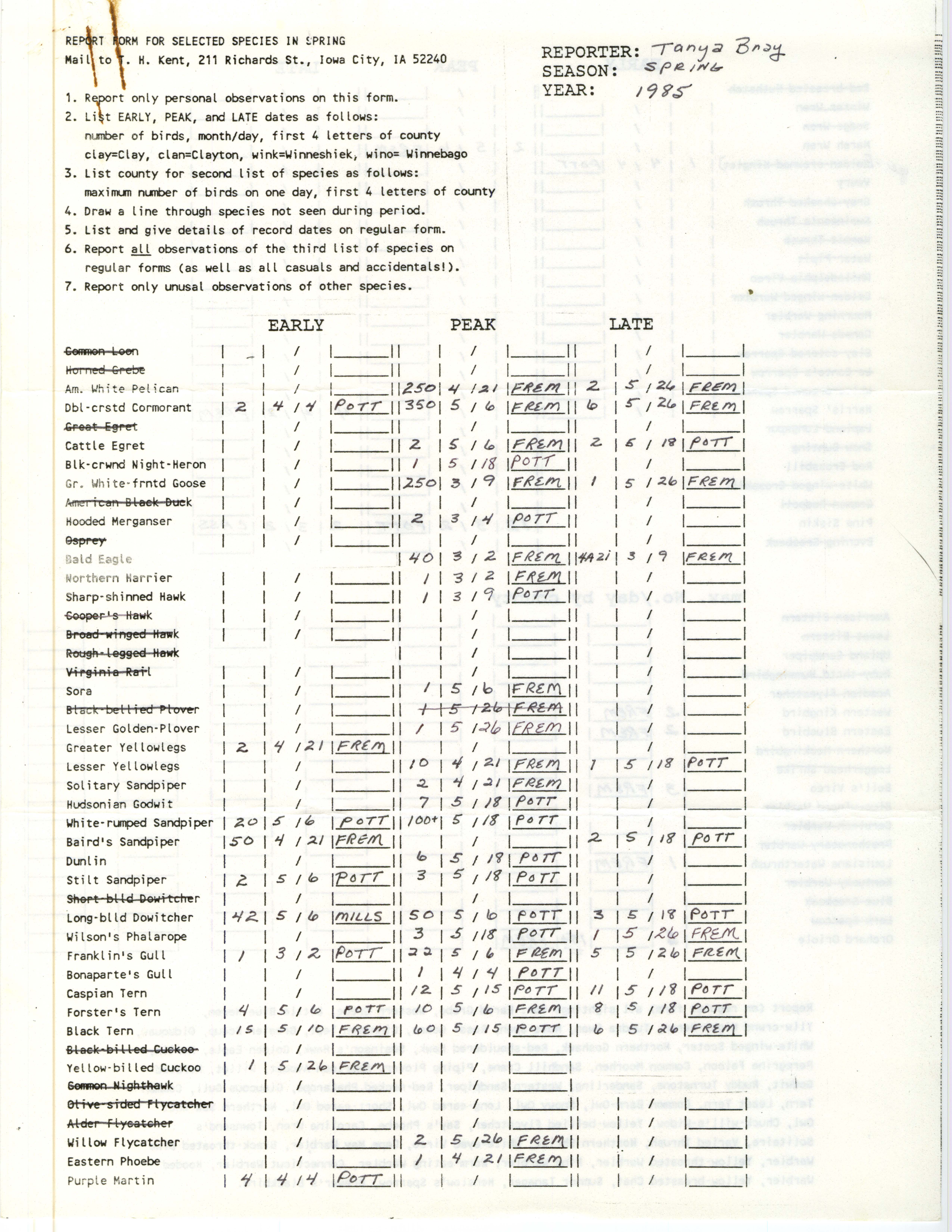 Report form for selected species in spring, contributed by Tanya Bray, spring 1985