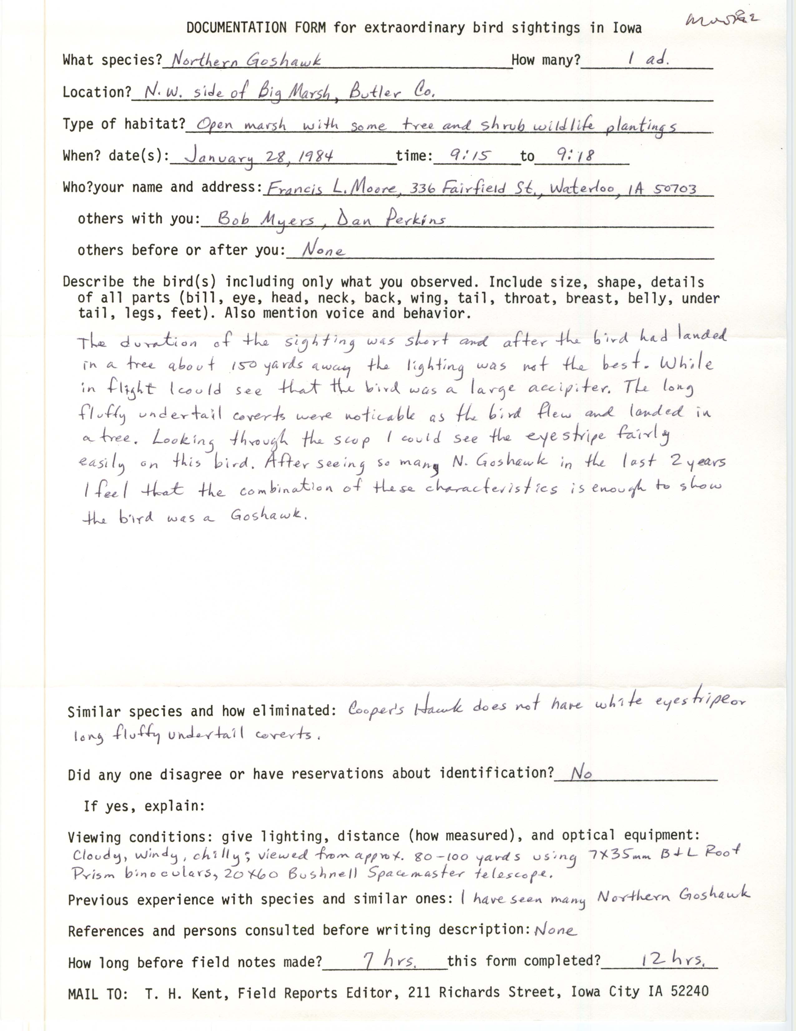 Rare bird documentation form for Northern Goshawk at Big Marsh, 1984