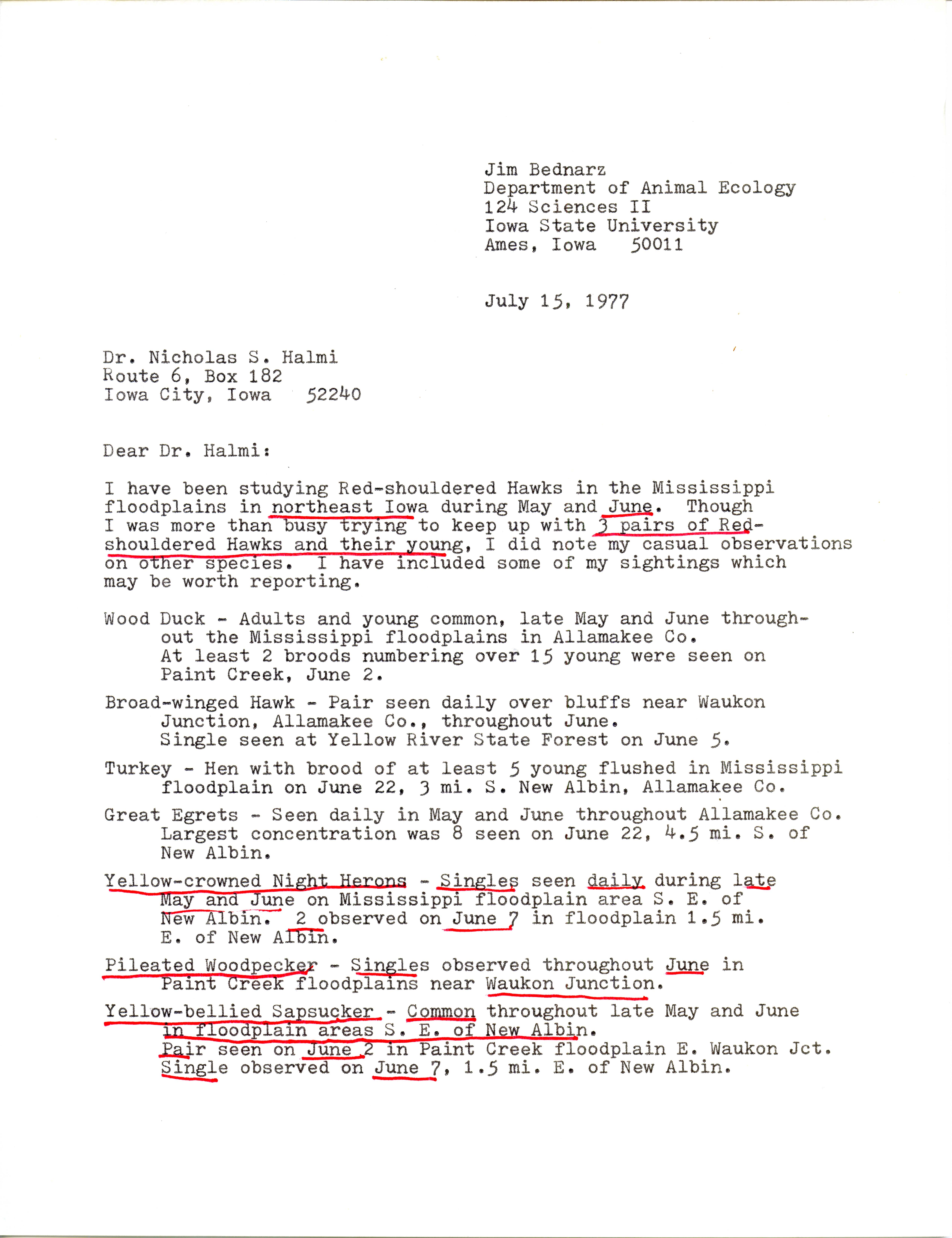 James C. Bednarz letter to Nicholas S. Halmi, regarding bird sightings, July 15, 1977