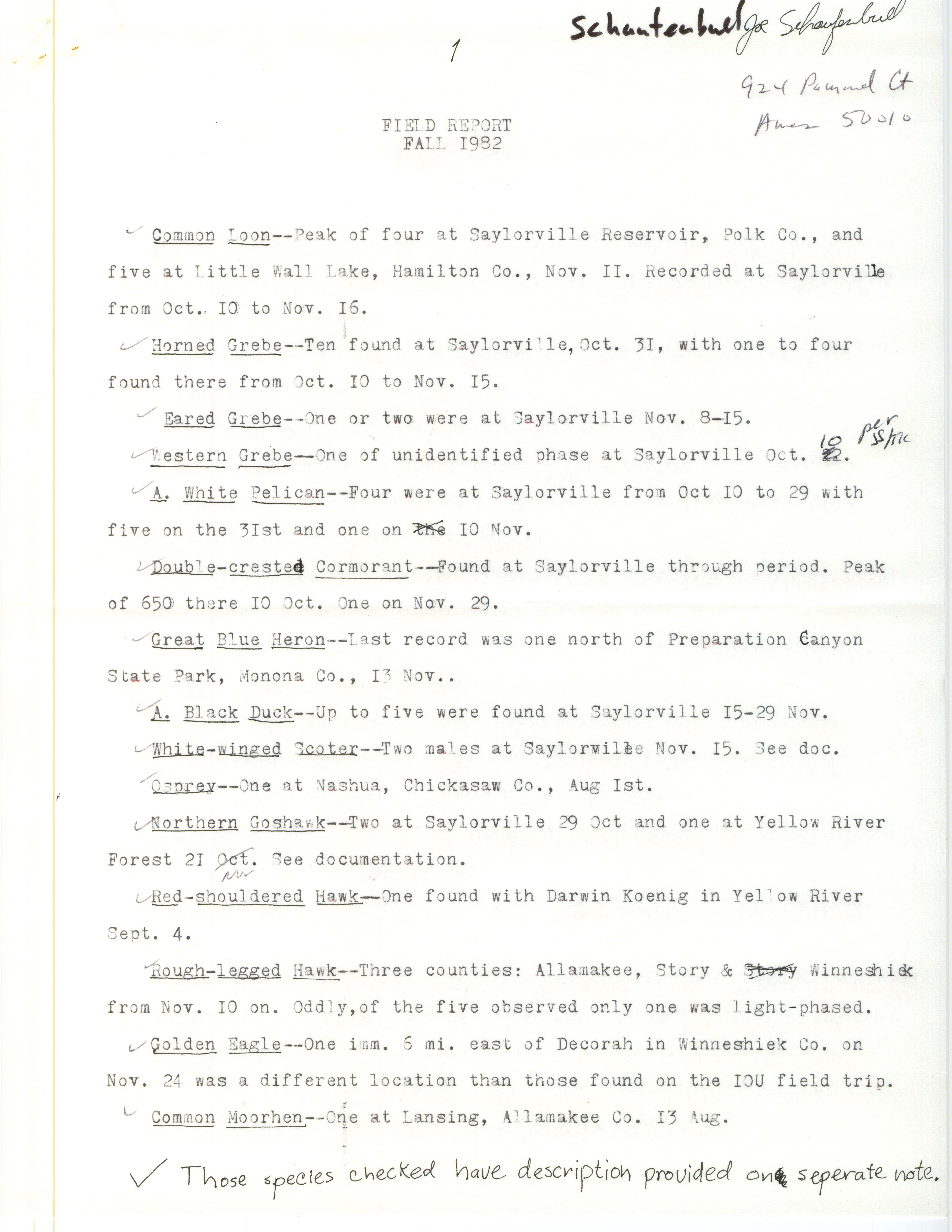 Field notes contributed by Joseph P. Schaufenbuel, fall 1982