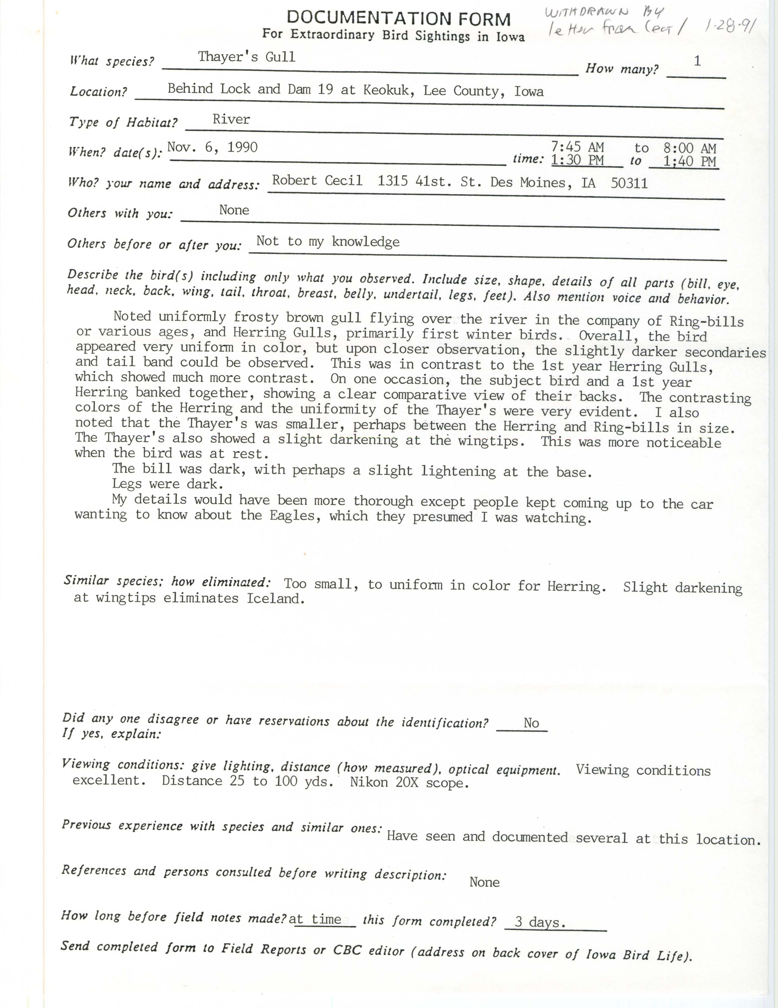 Rare bird documentation form for Thayer's Gull at Lock and Dam 19, 1990