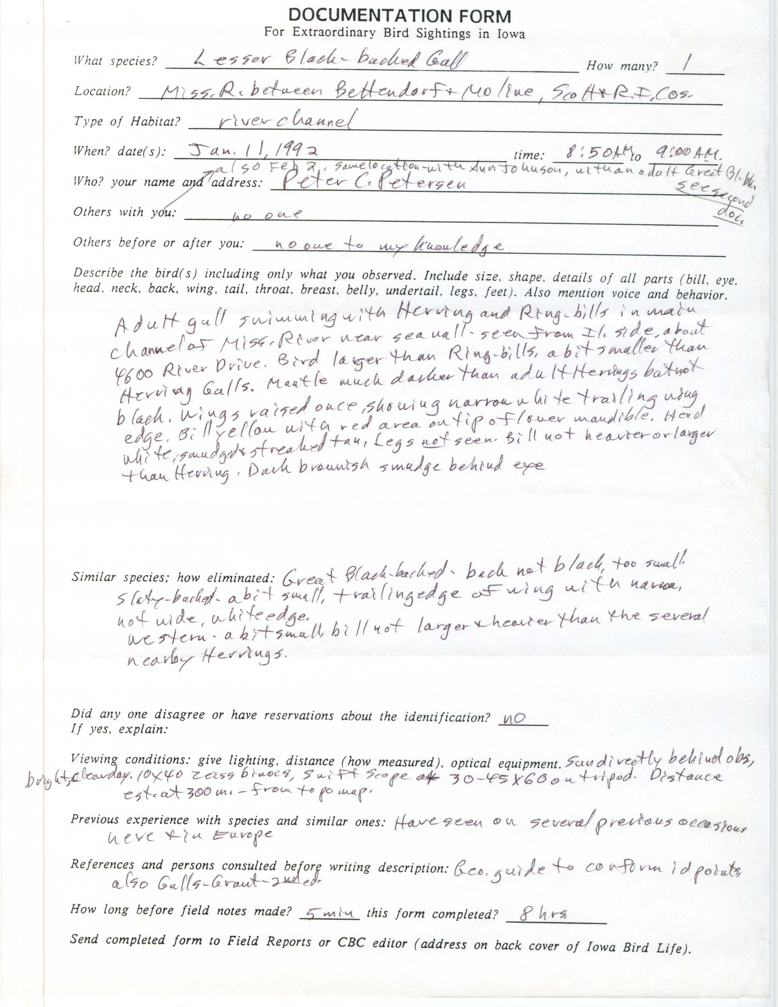 Rare bird documentation form for Lesser Black-backed Gull at Mississippi River between Bettendorf, IA and Moline, IL, 1992
