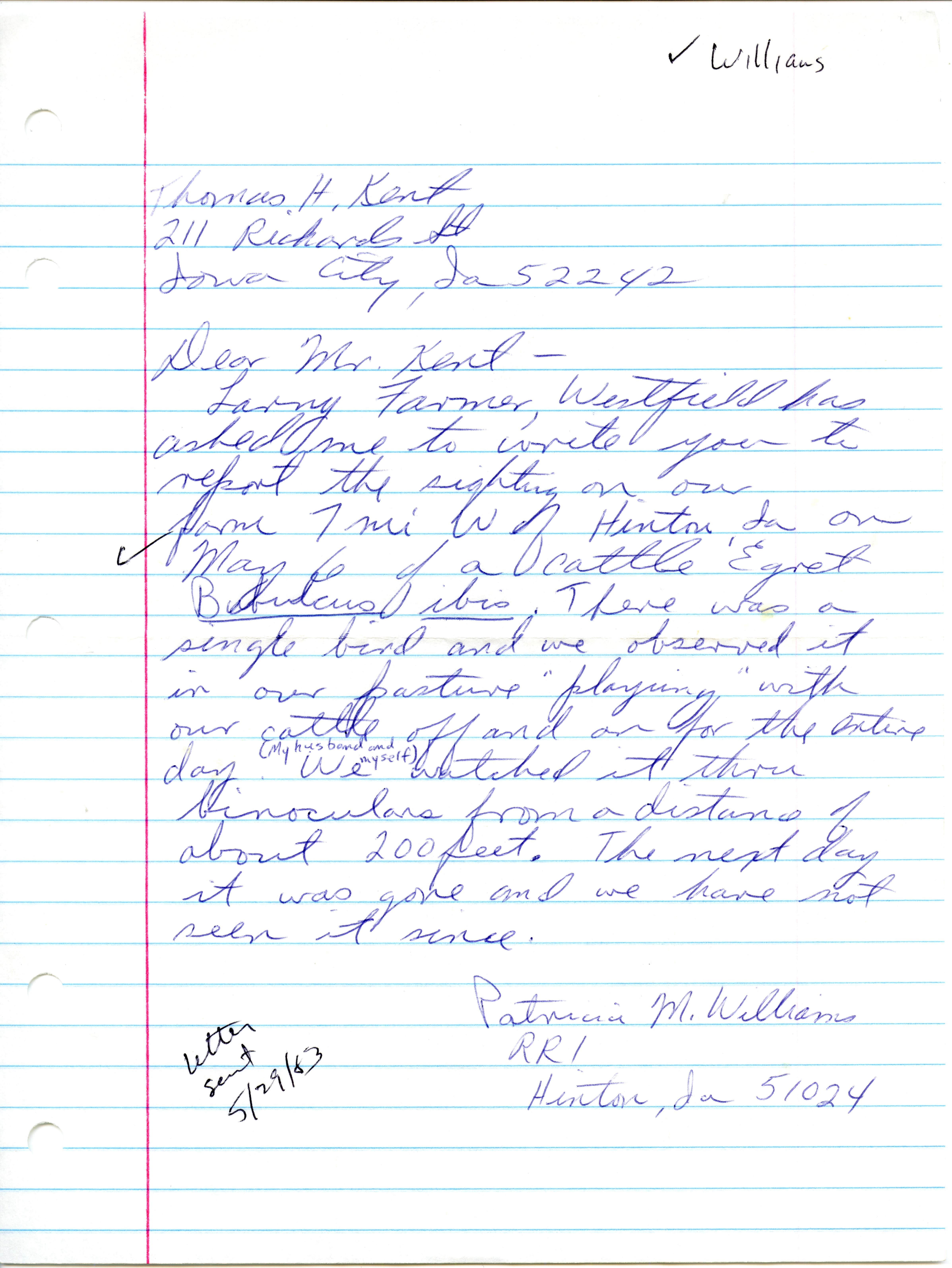 Patricia M. Williams letter to Thomas H. Kent regarding a Cattle Egret sighting, May 29, 1983