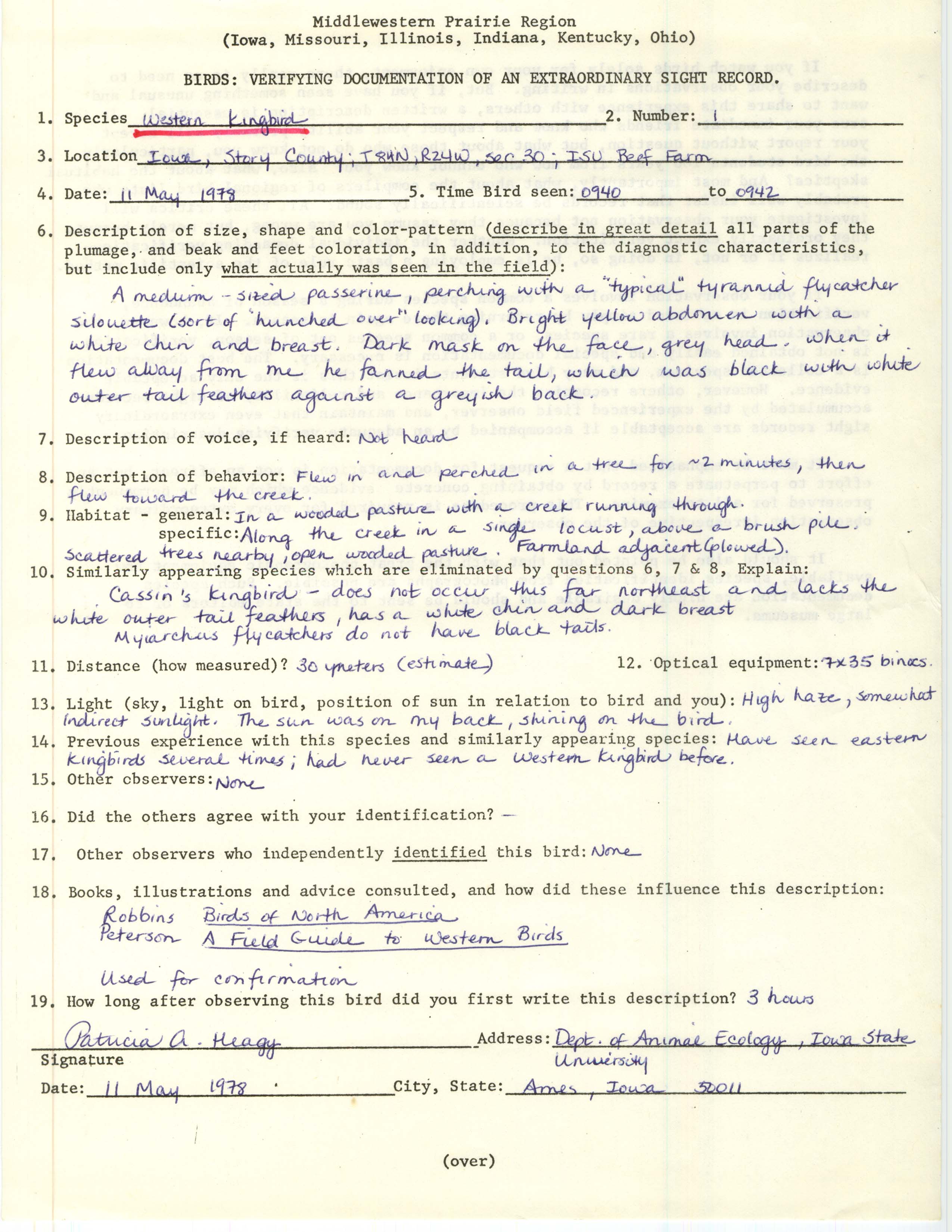 Rare bird documentation form for Western Kingbird near Ames, 1978
