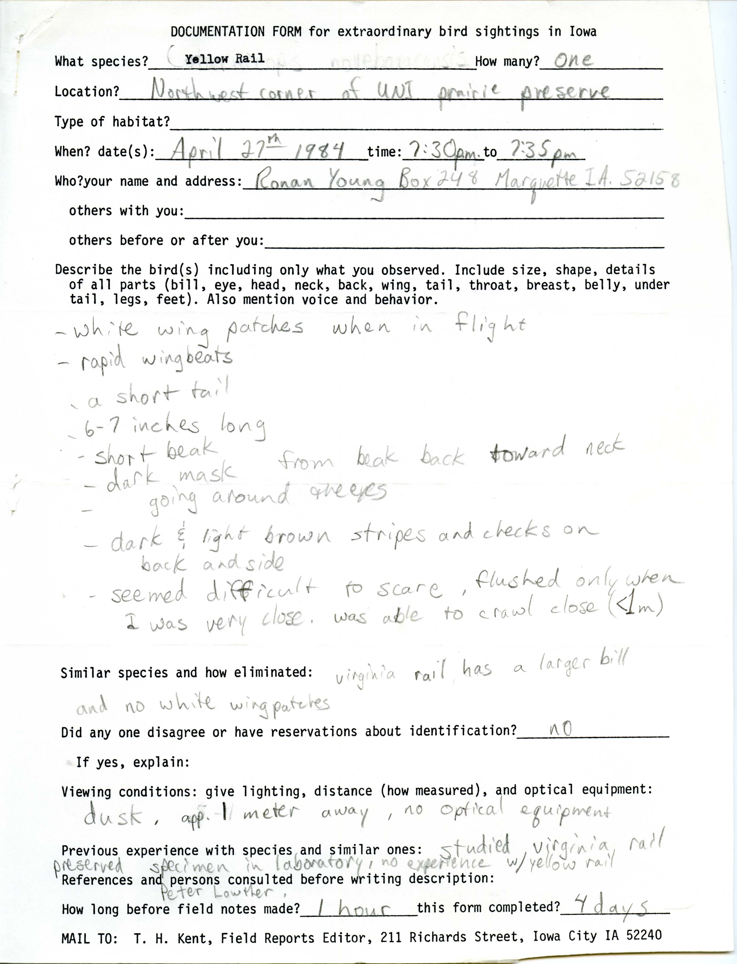 Rare bird documentation form for Yellow Rail at University of Northern Iowa, 1984