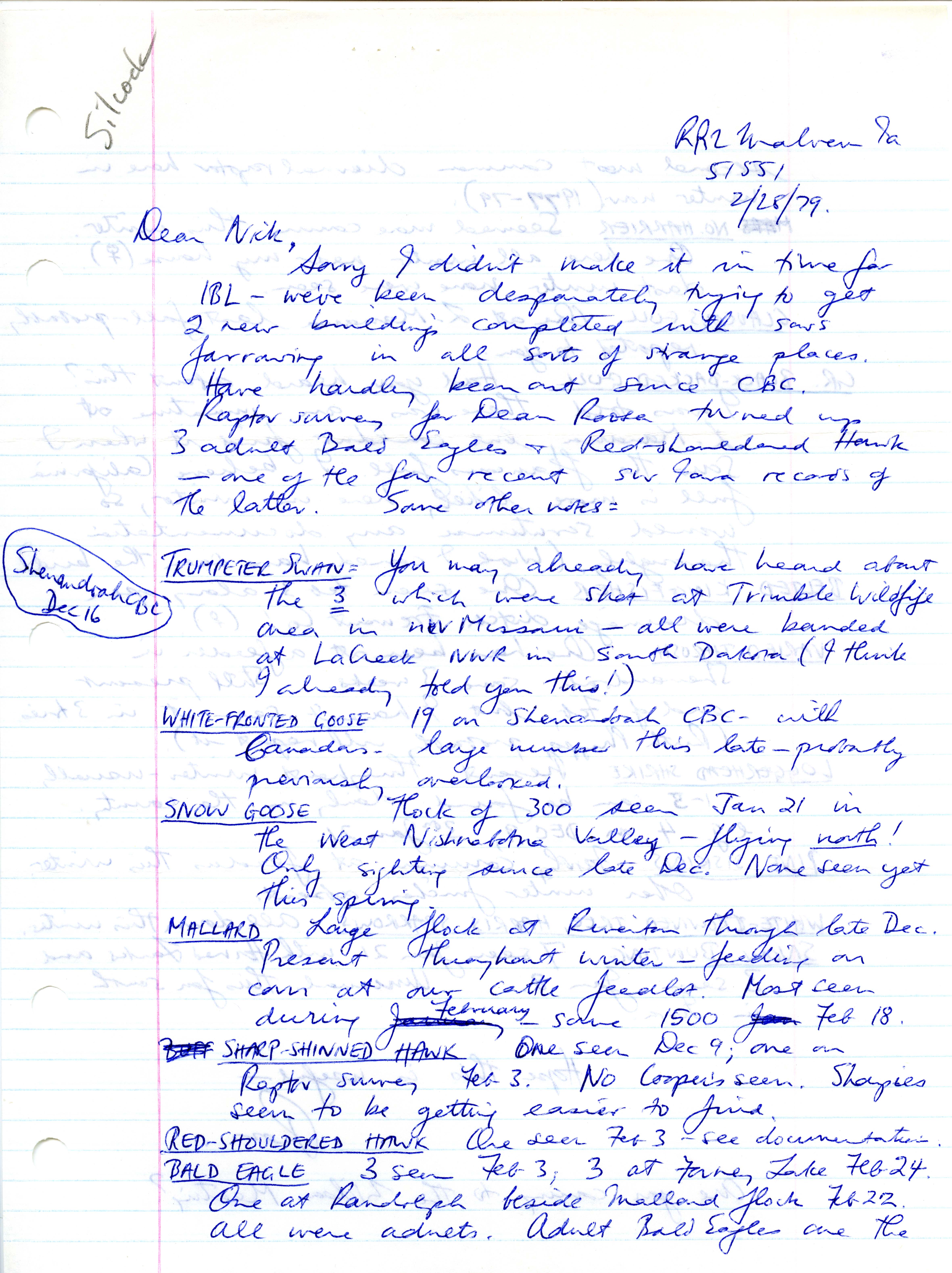 W. Ross Silcock letter to Nicholas S. Halmi regarding winter bird sightings, February 28, 1979