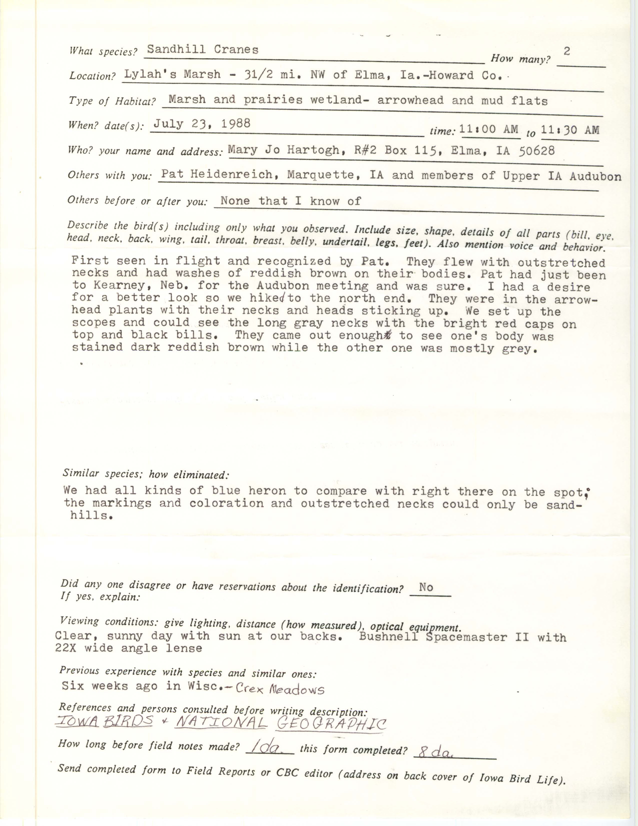 Rare bird documentation form for Sandhill Crane at Lylah's Marsh, 1988