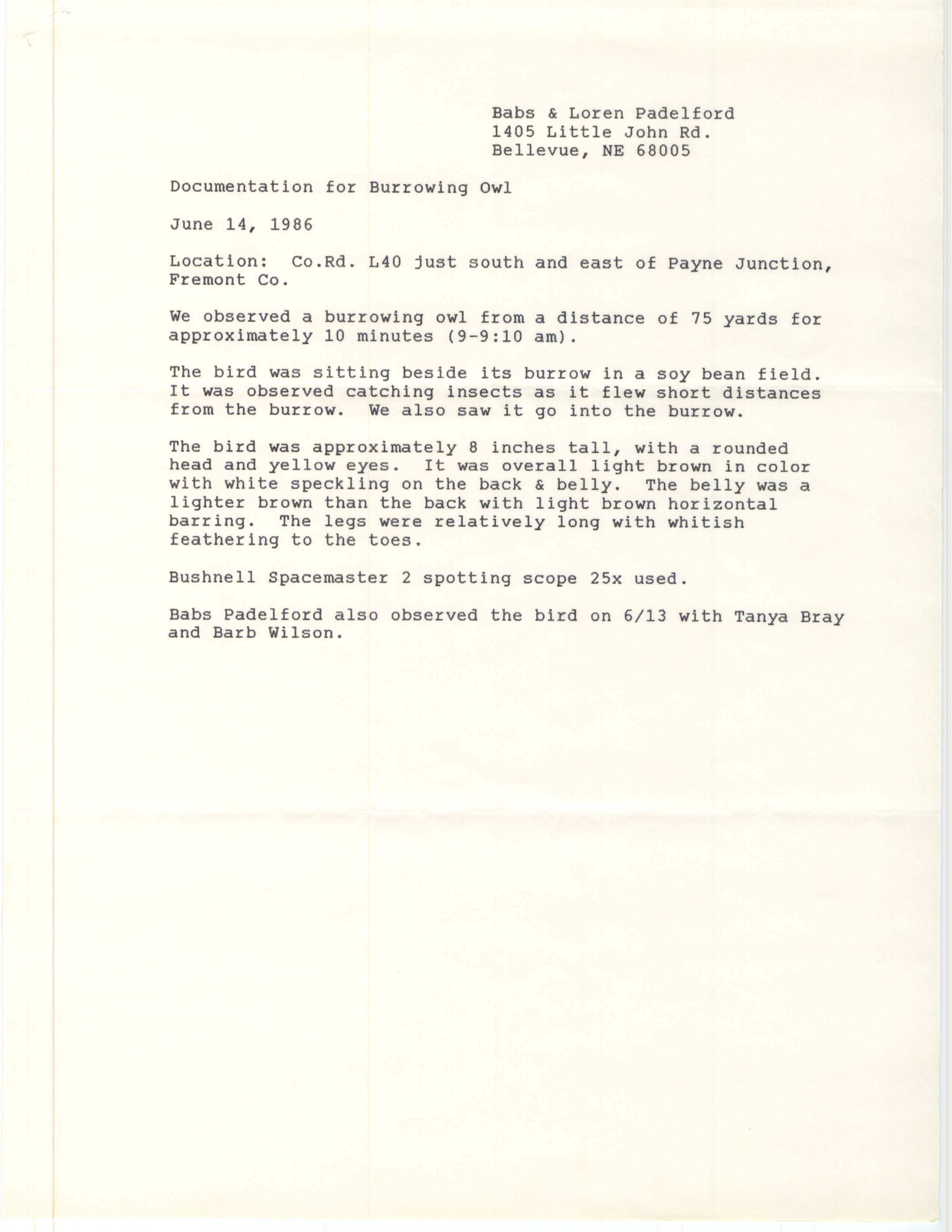 Documentation for Burrowing Owl, June 14, 1986