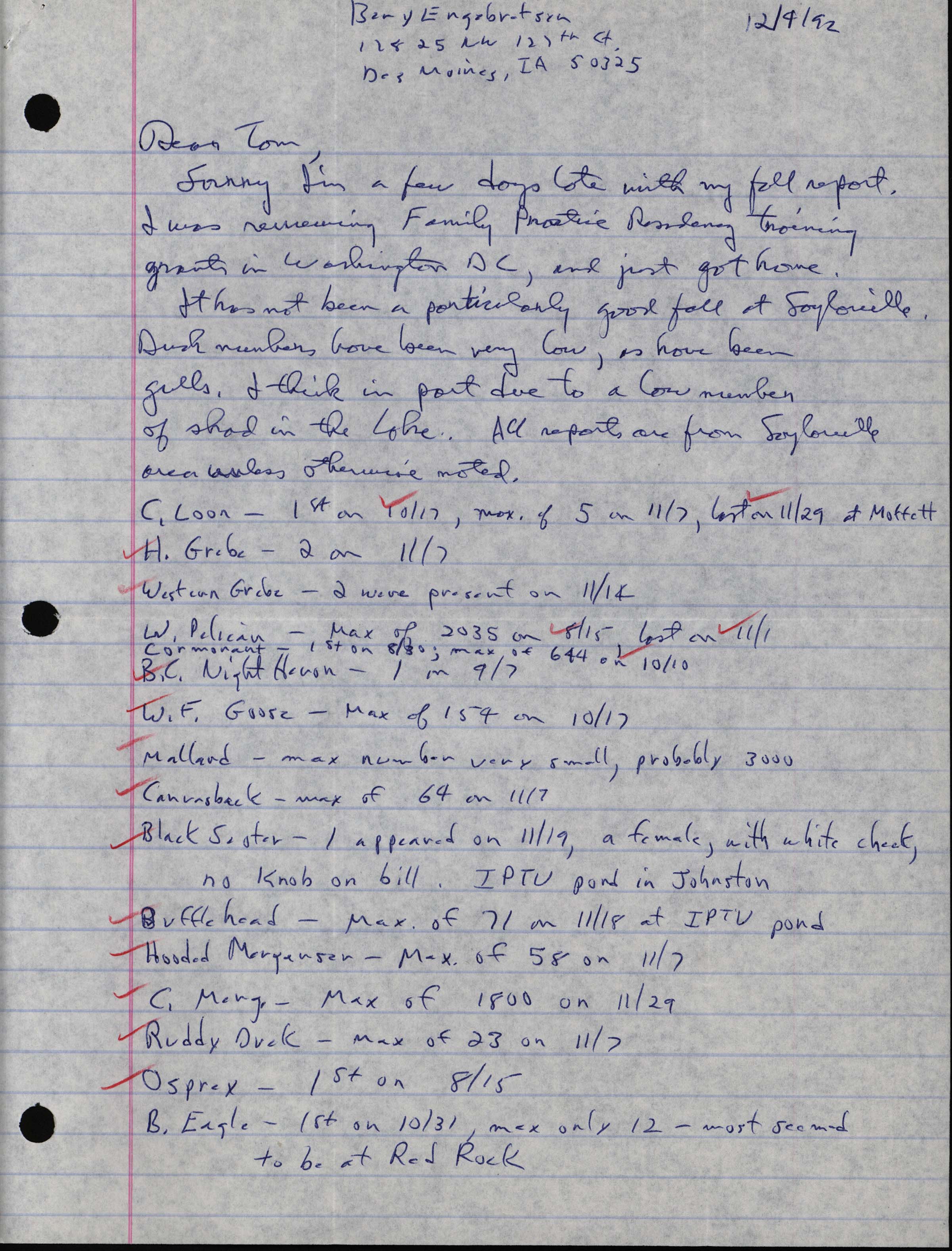 Bery Engebretsen letter to Thomas H. Kent regarding fall bird sightings, December 4, 1992