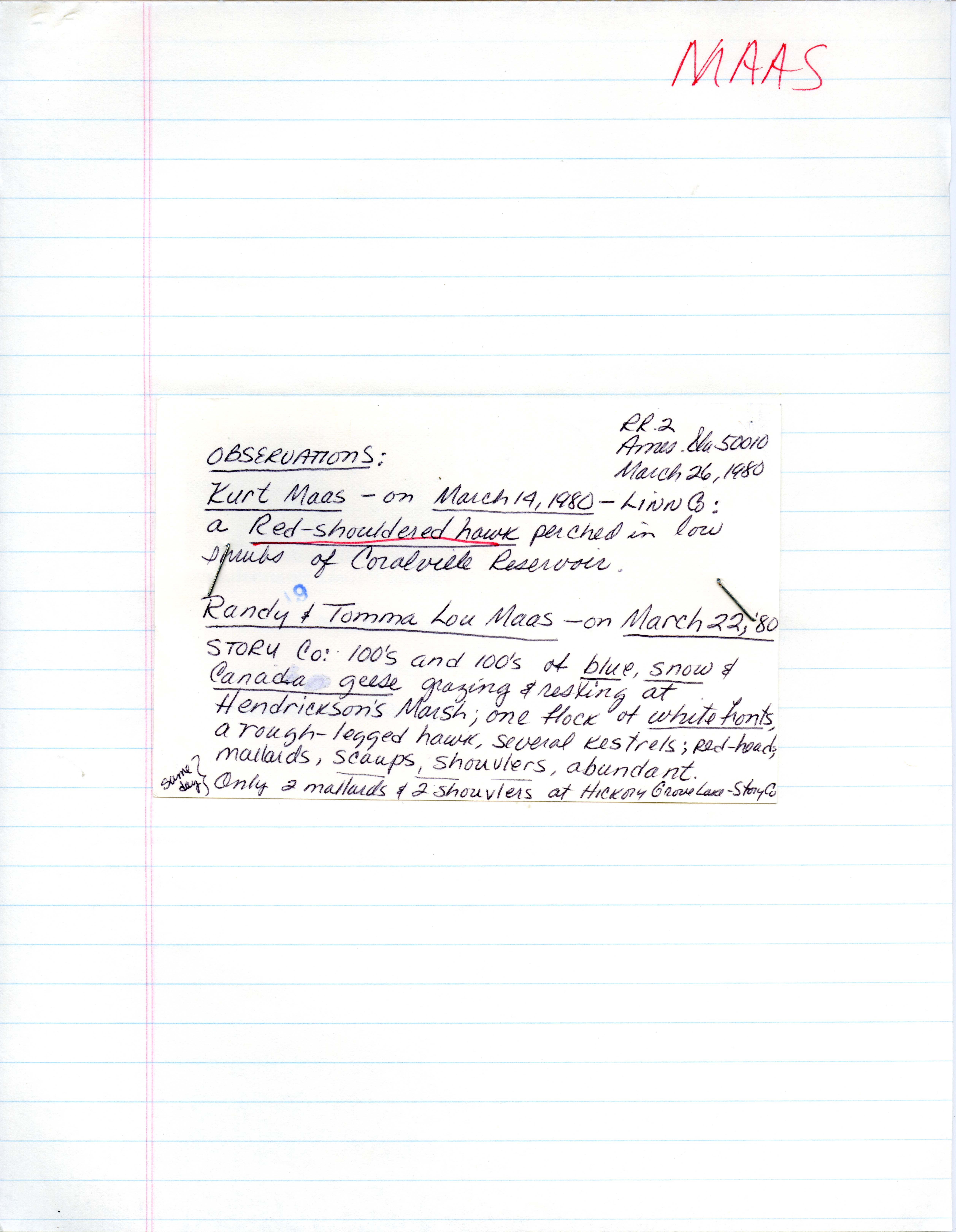 Field notes contributed by Randy Maas, Tomma Lou Mass and Kurt Maas, March 26, 1980