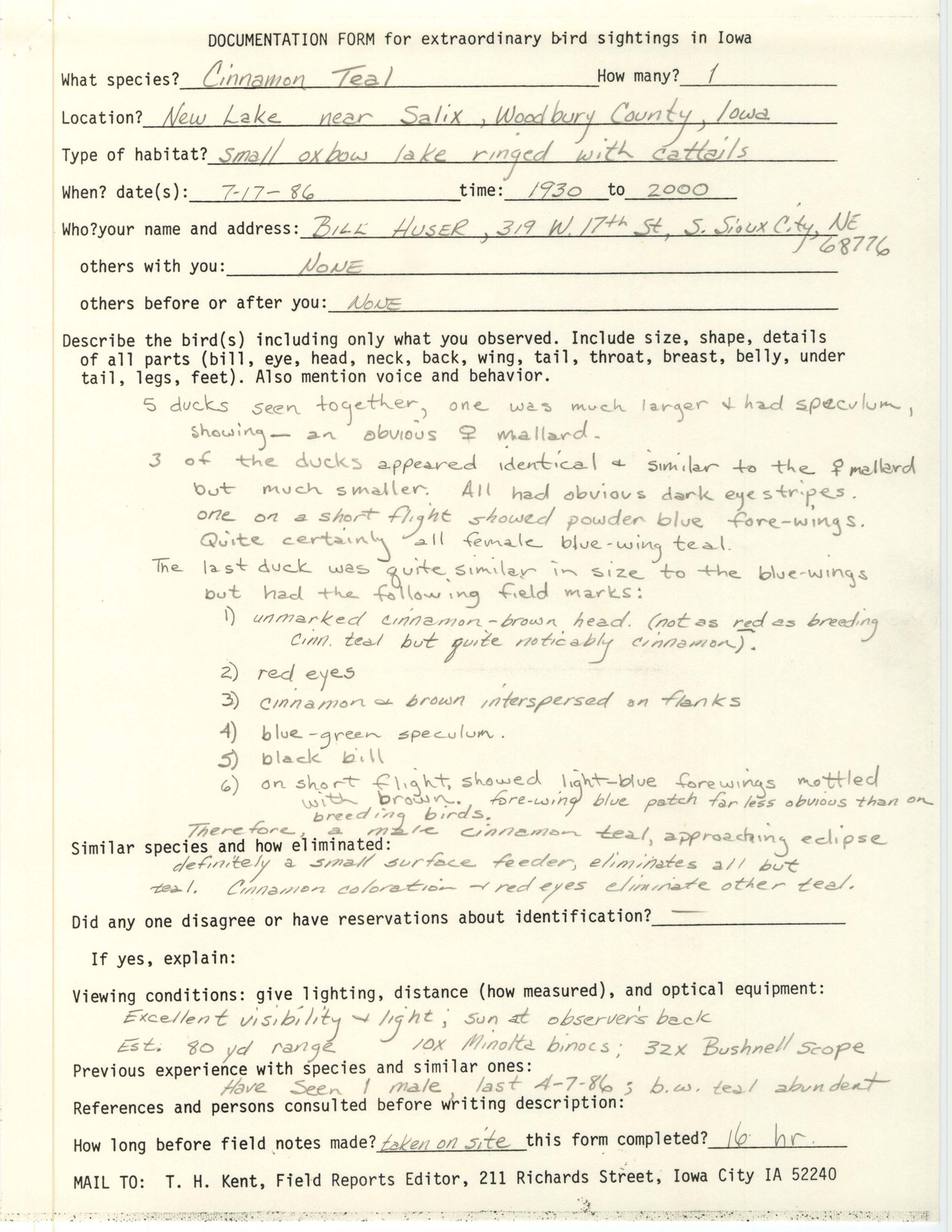 Rare bird documentation form for Cinnamon Teal at New Lake, 1986