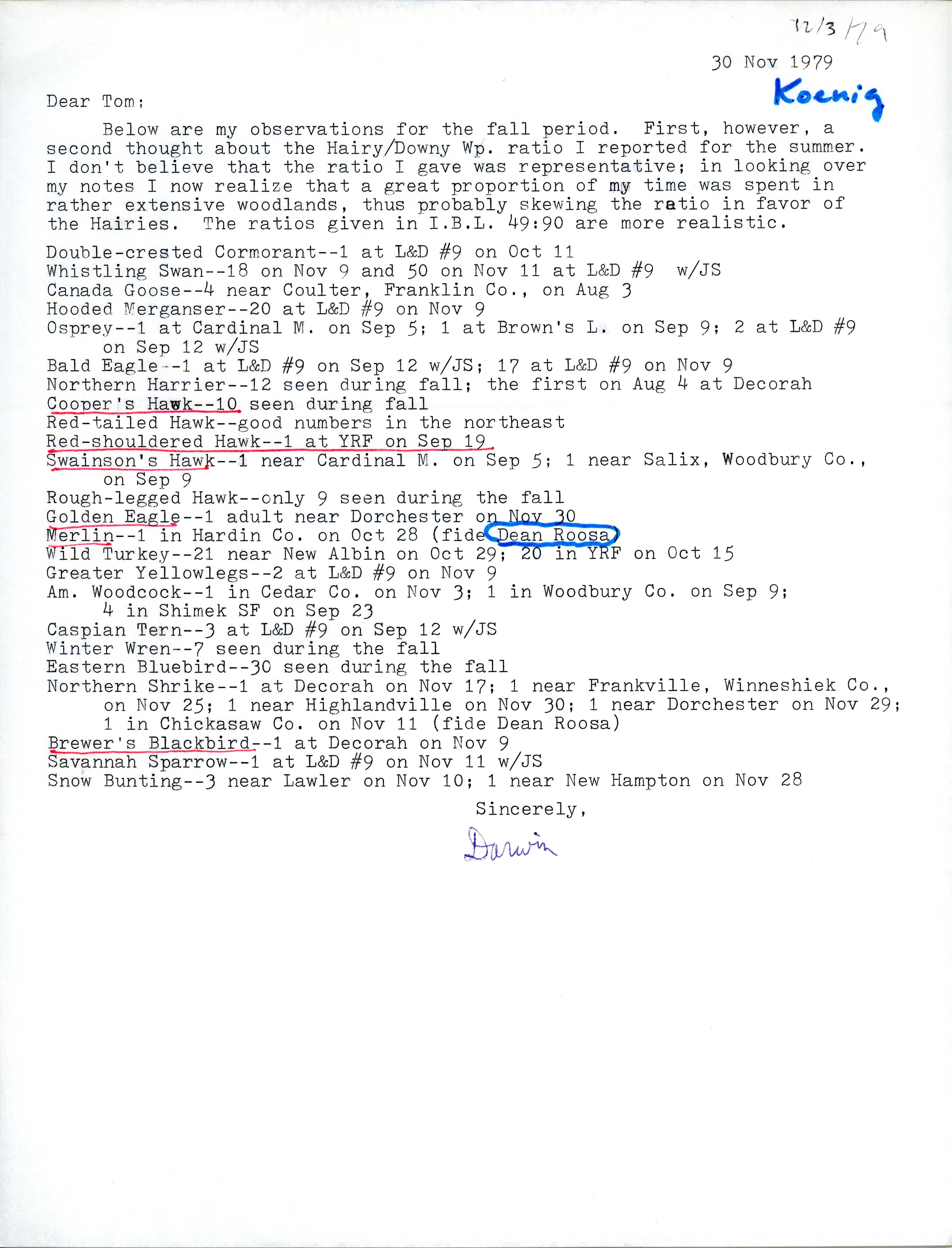 Darwin Koenig letter to Thomas H. Kent regarding bird sightings, November 30, 1979