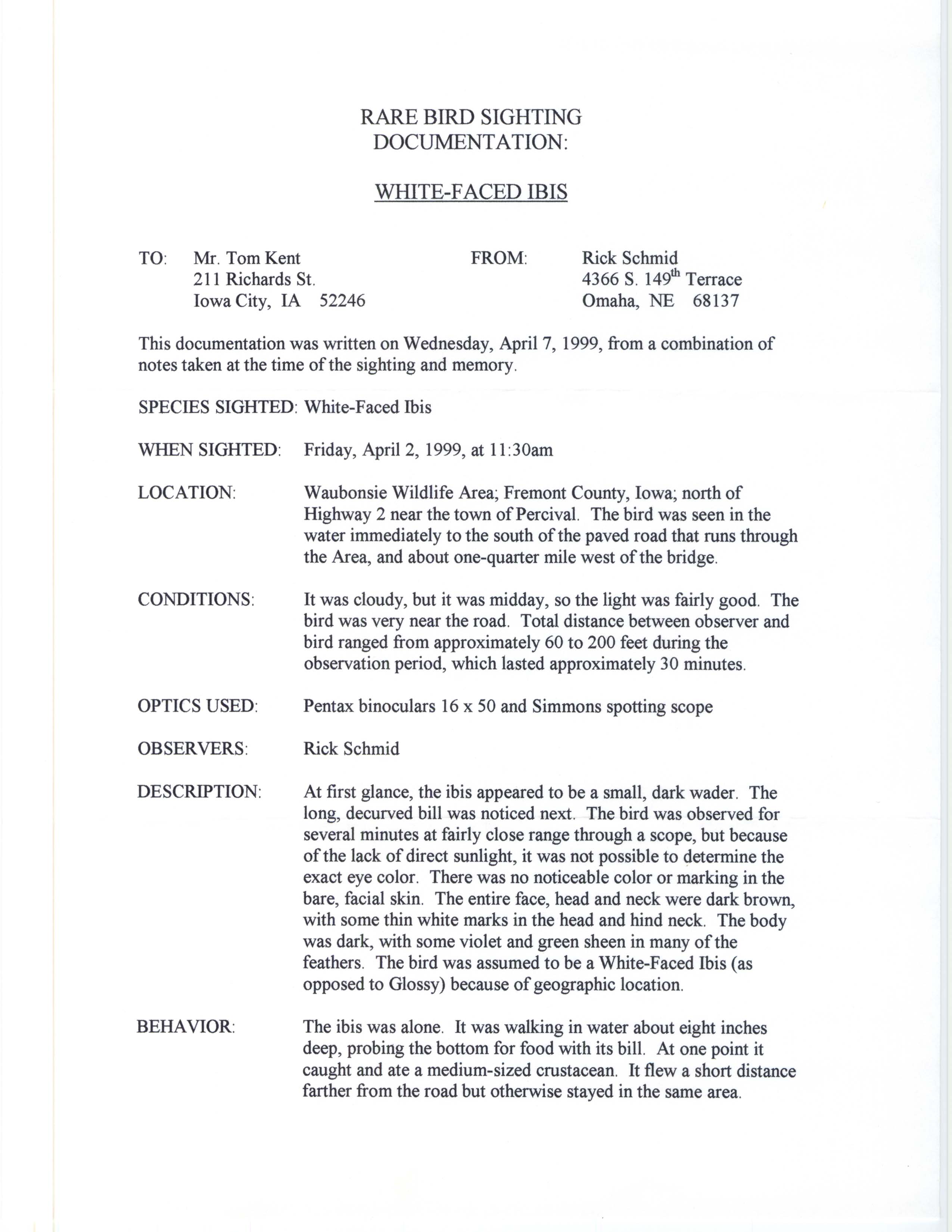 Rare bird documentation form for White-faced Ibis at Waubonsie Wildlife Area, 1999