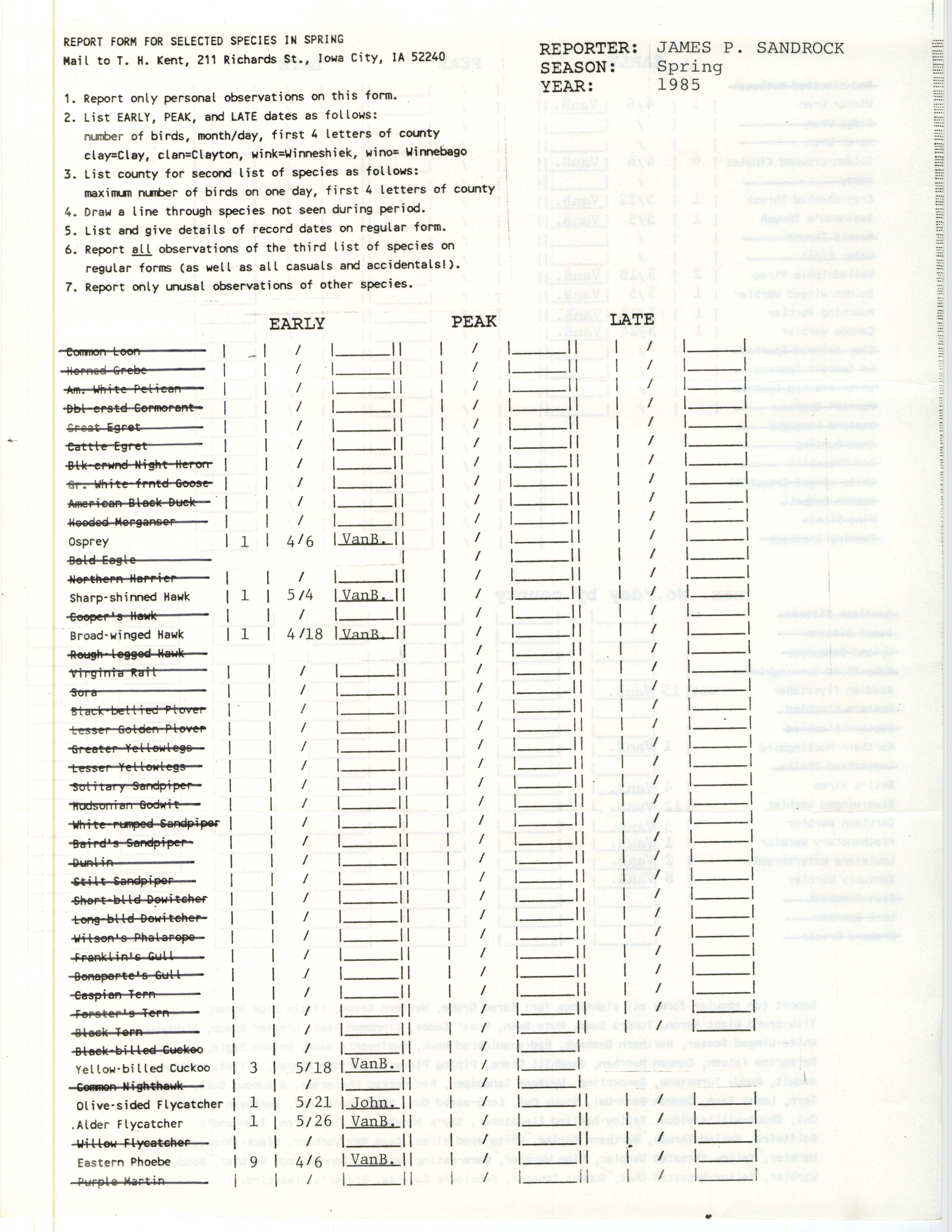 Report form for selected species in spring, contributed by James P. Sandrock, spring 1985