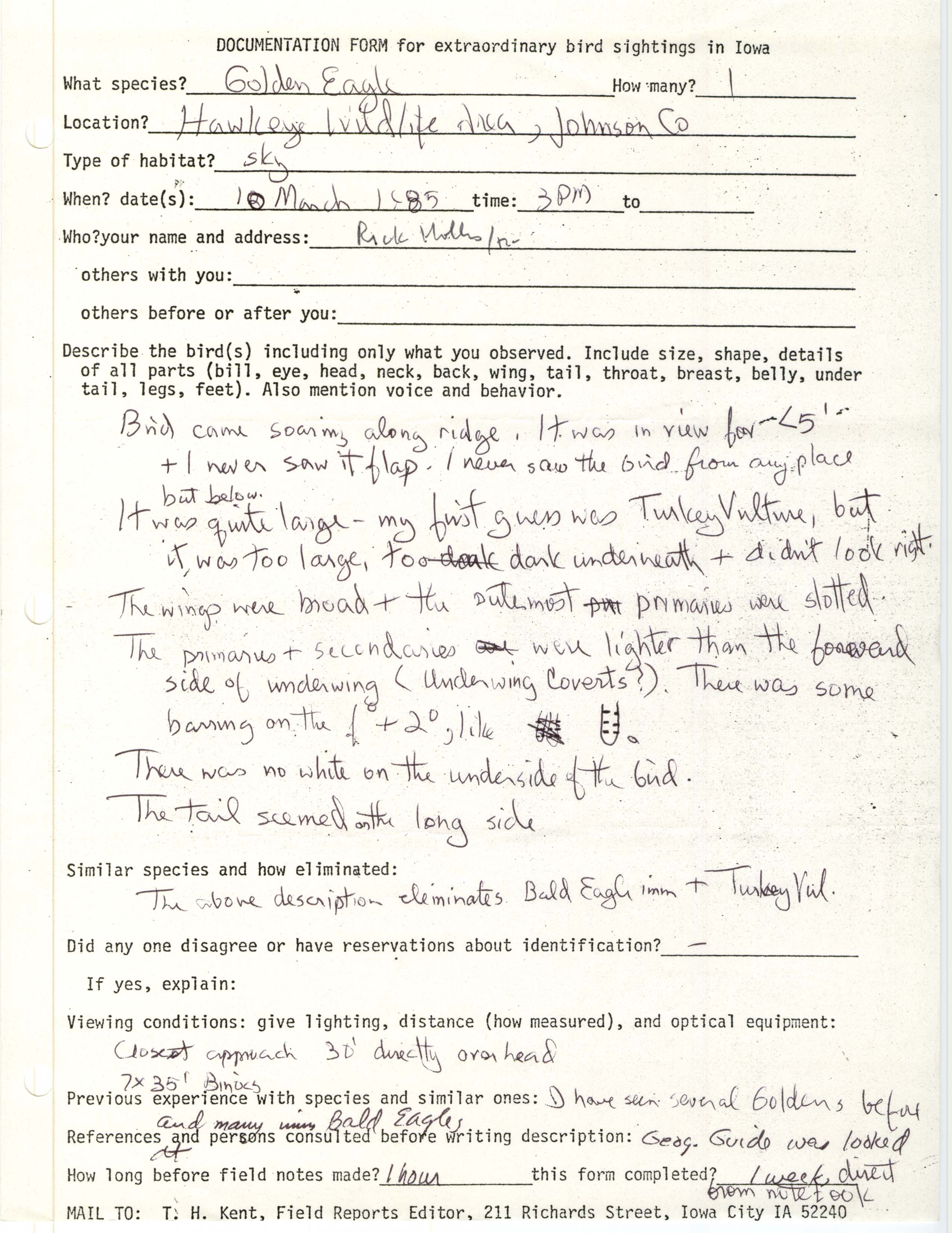 Rare bird documentation form for Golden Eagle at Hawkeye Wildlife Area, 1985