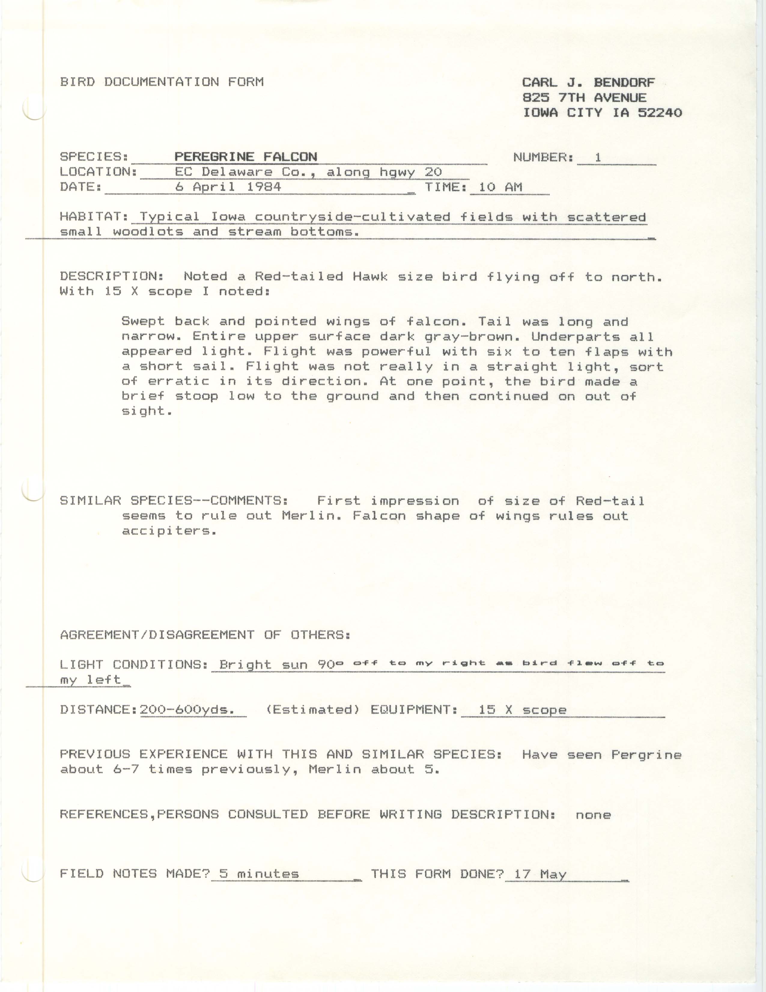 Rare bird documentation form for Peregrine Falcon in Delaware County, 1984