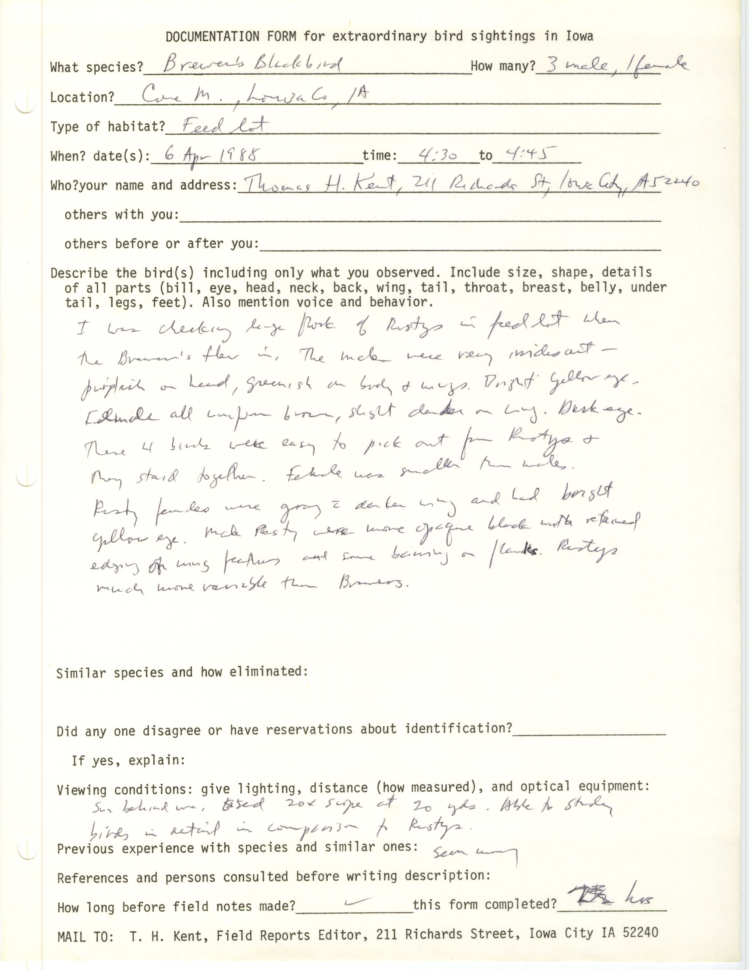 Rare bird documentation form for Brewer's Blackbird at Cone Marsh, 1988