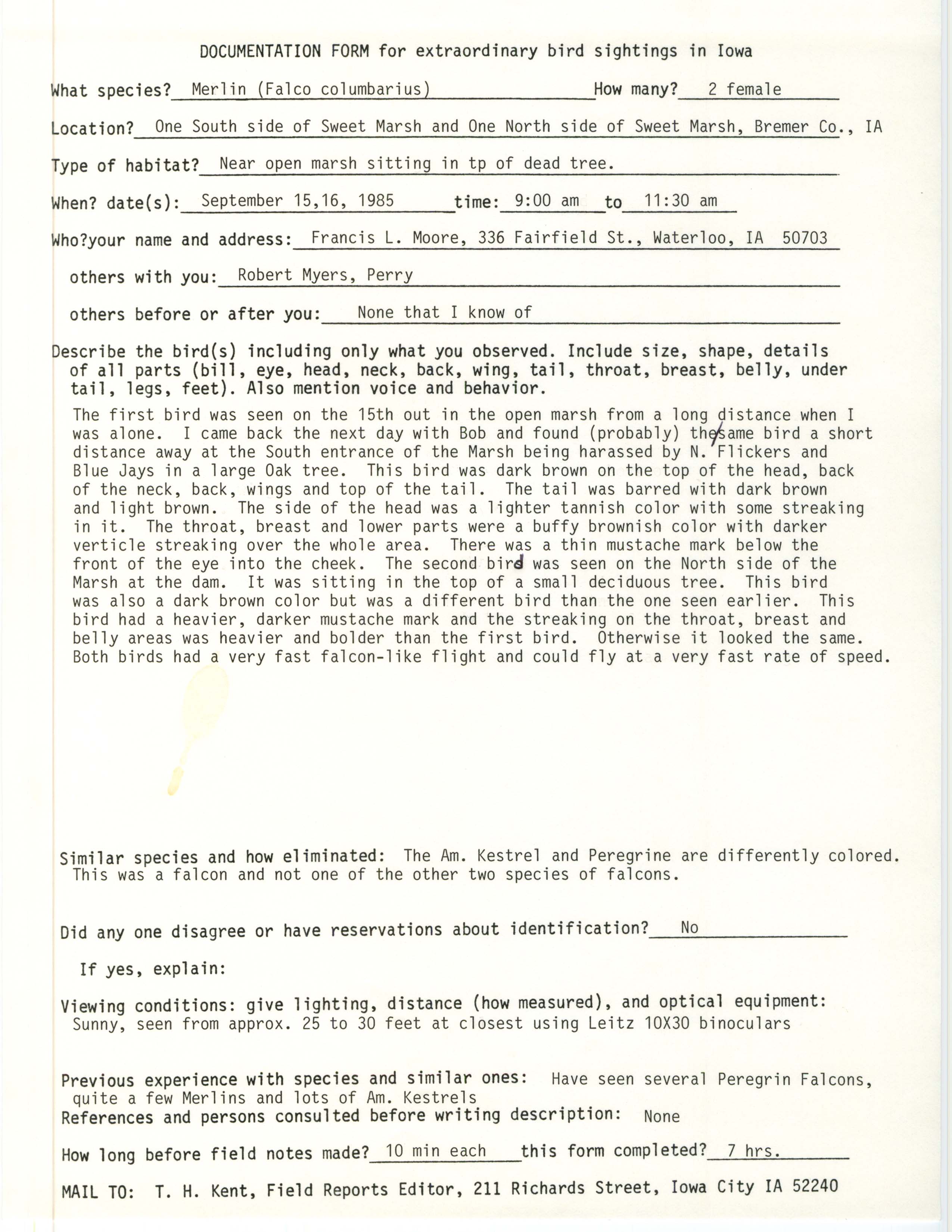 Rare bird documentation form for Merlin at Sweet Marsh, 1985