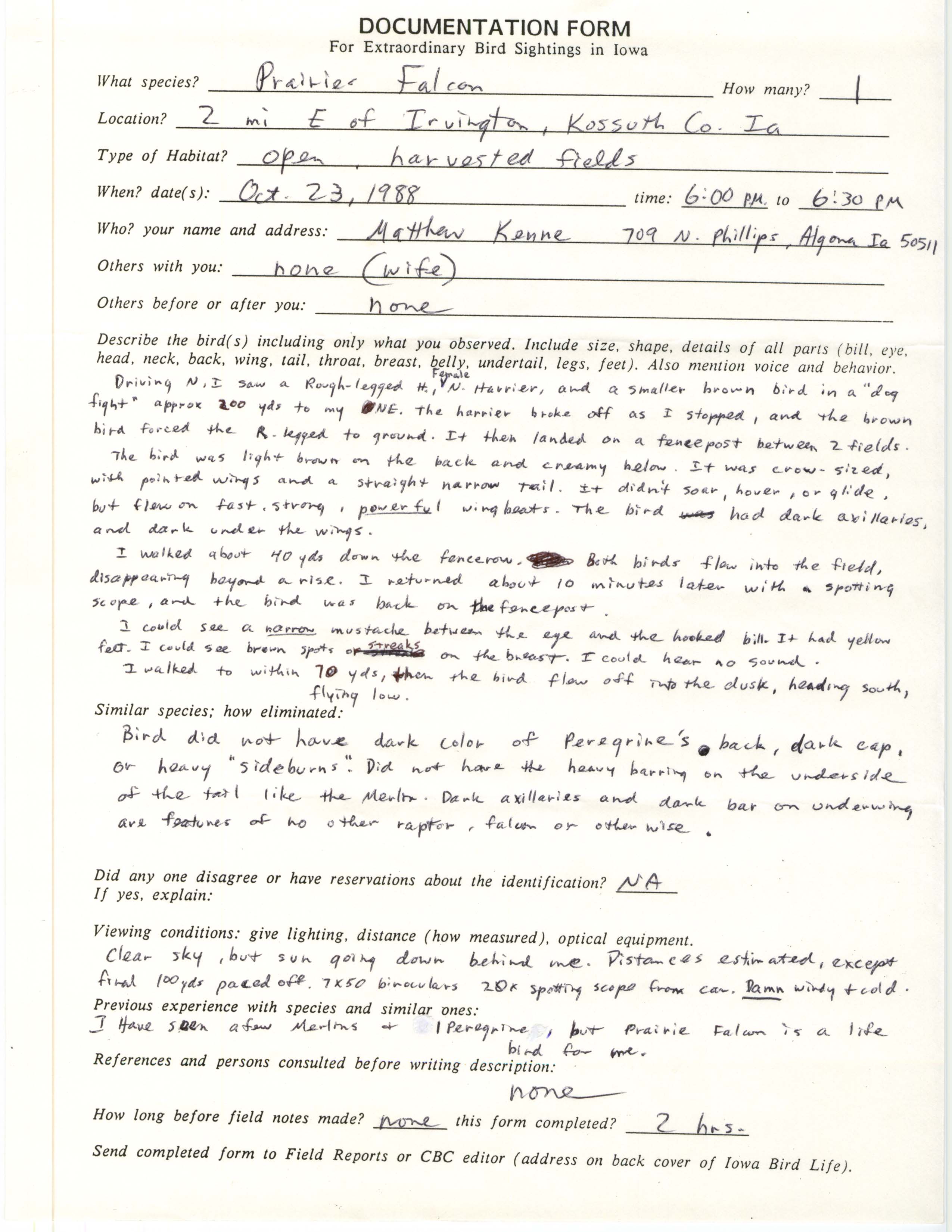 Rare bird documentation form for Prairie Falcon east of Irvington, 1988