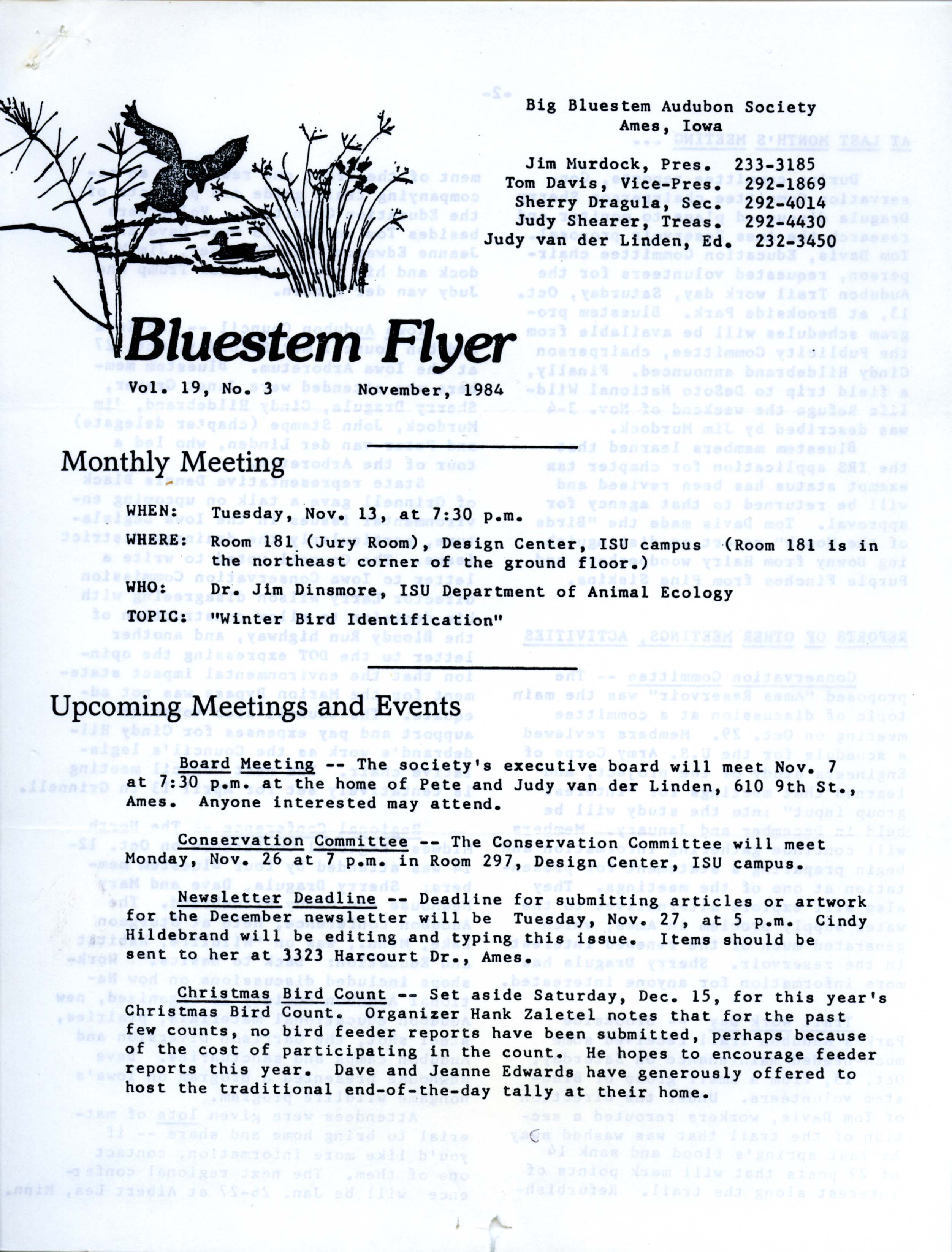 Bluestem Flyer, Volume 19, Number 3, November 1984