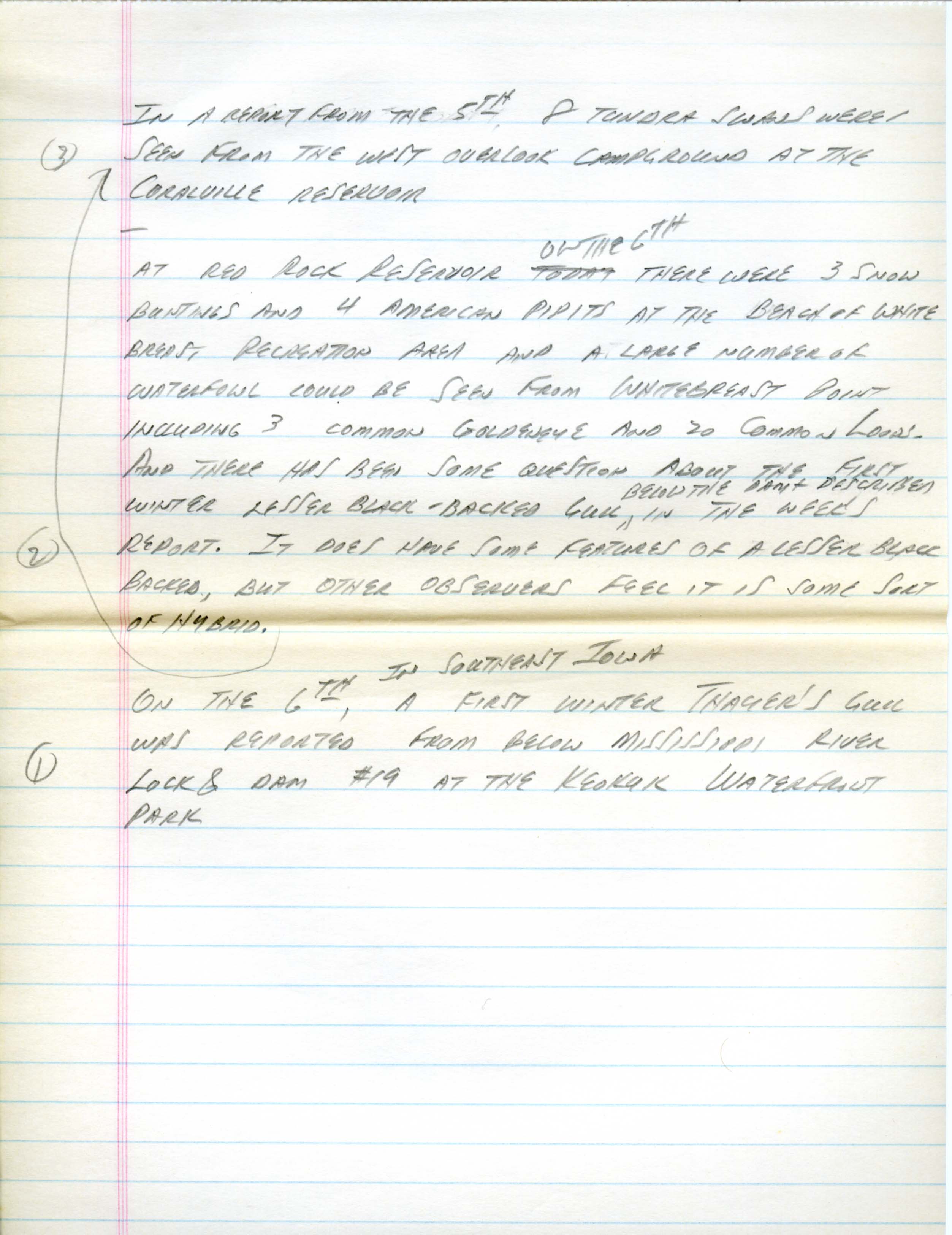 Iowa Birdline update, circa November 6, 1990, notes