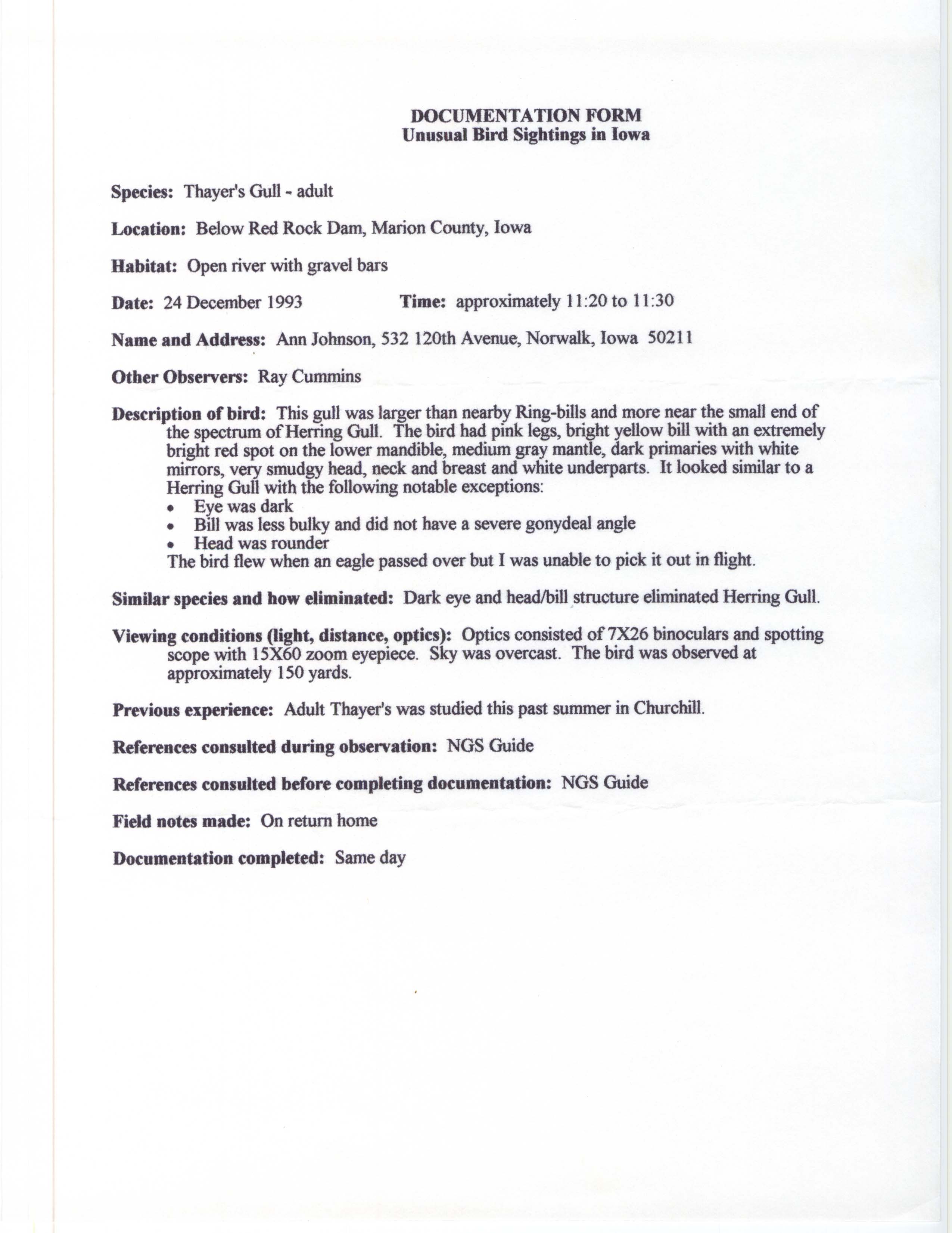 Rare bird documentation form for Thayer's Gull at Red Rock Dam, 1993
