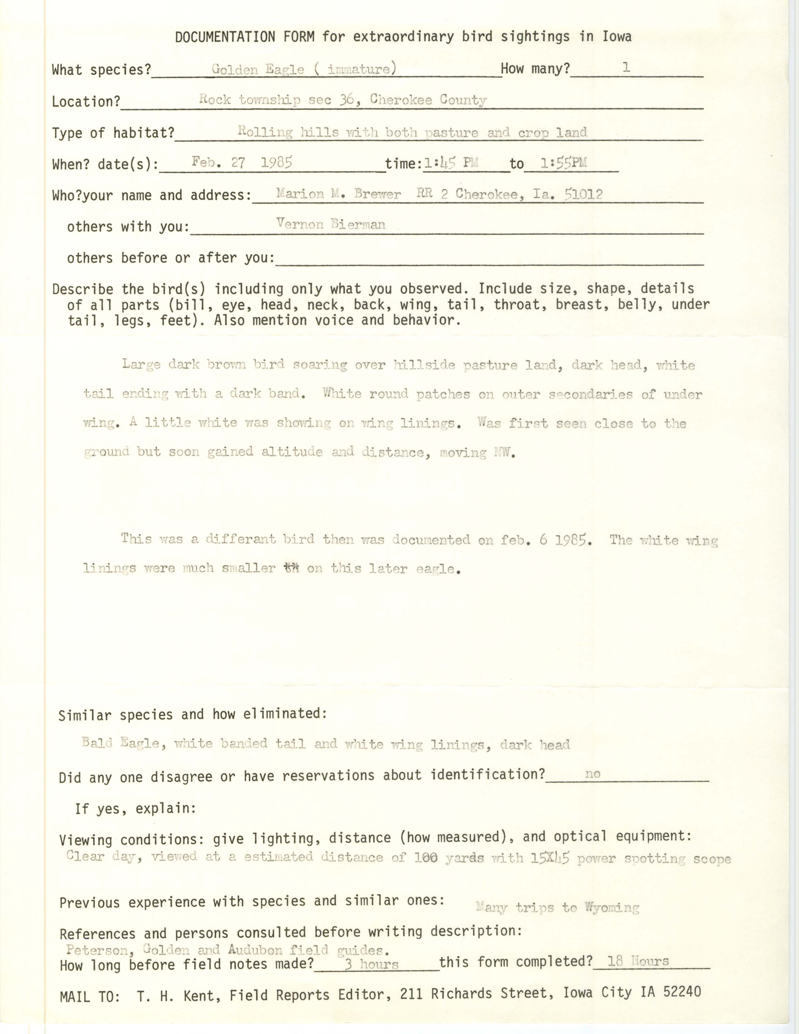 Rare bird documentation form for Golden Eagle at Rock Township in Cherokee County, 1985